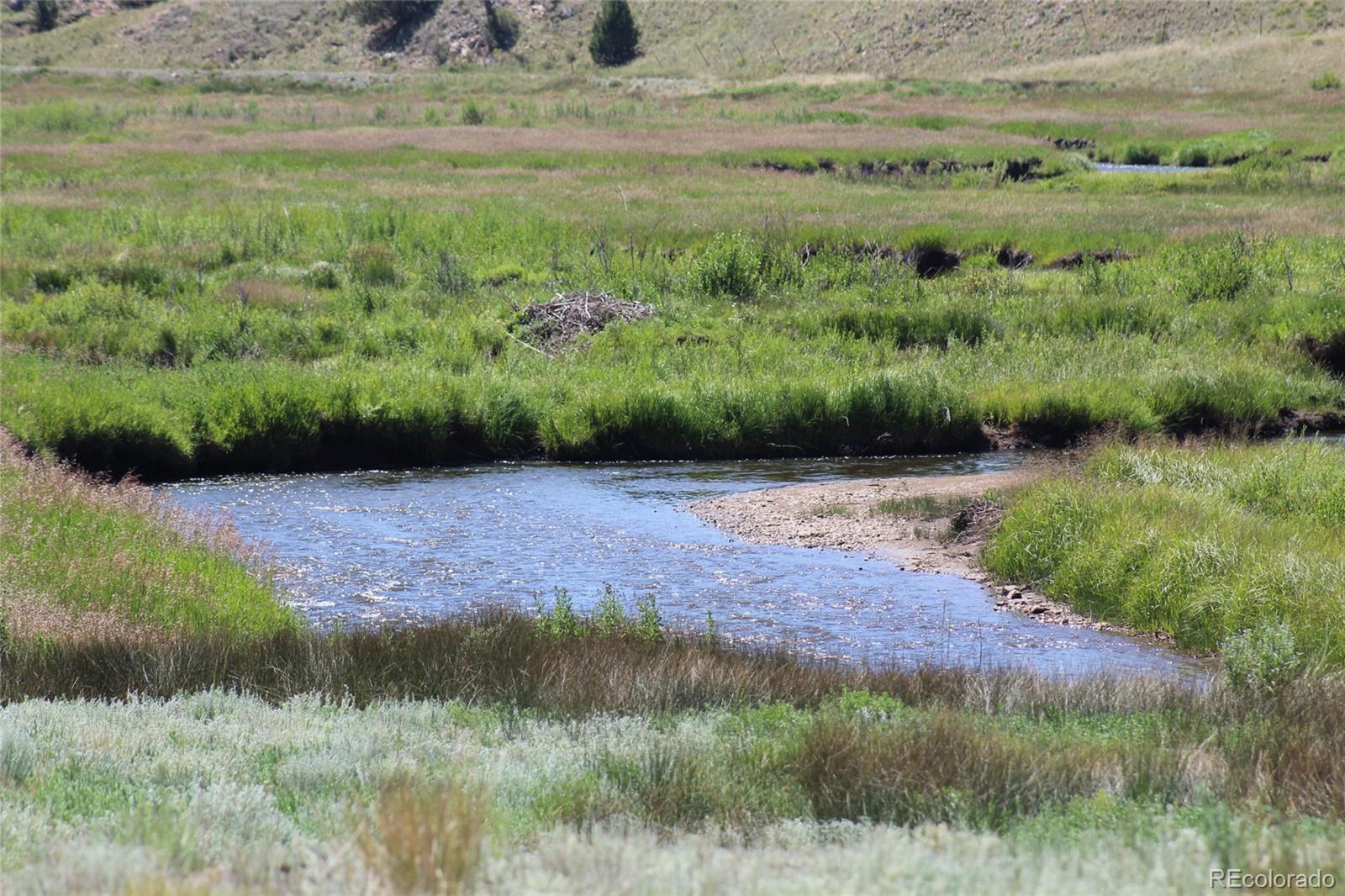 MLS Image #18 for 1159  wells fargo circle,jefferson, Colorado