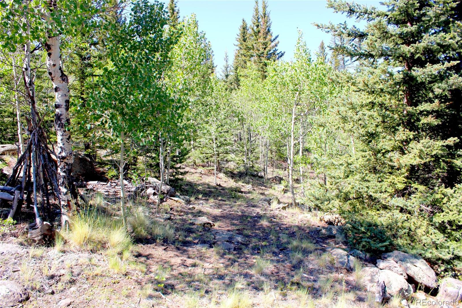 MLS Image #43 for 1159  wells fargo circle,jefferson, Colorado