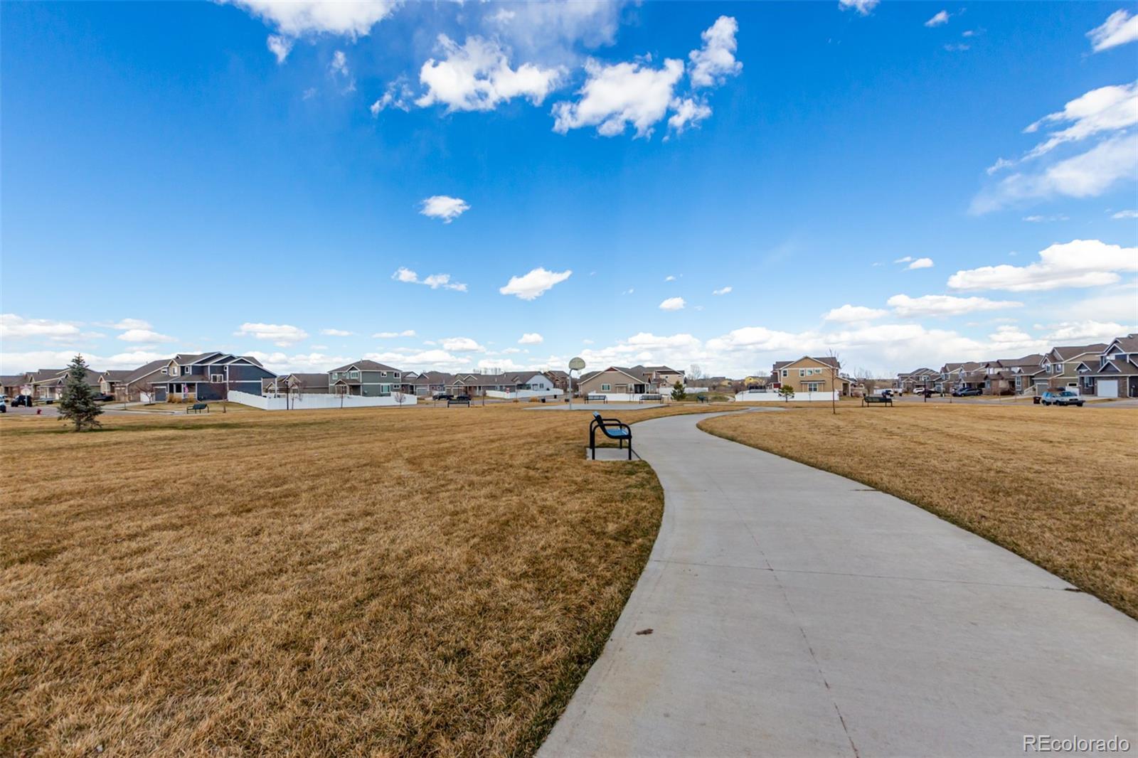 MLS Image #21 for 832  mt sneffels avenue,severance, Colorado