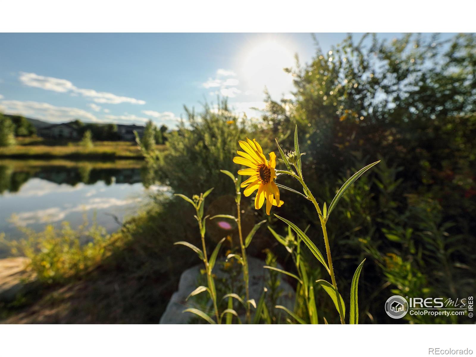 MLS Image #35 for 310  mcconnell drive,lyons, Colorado