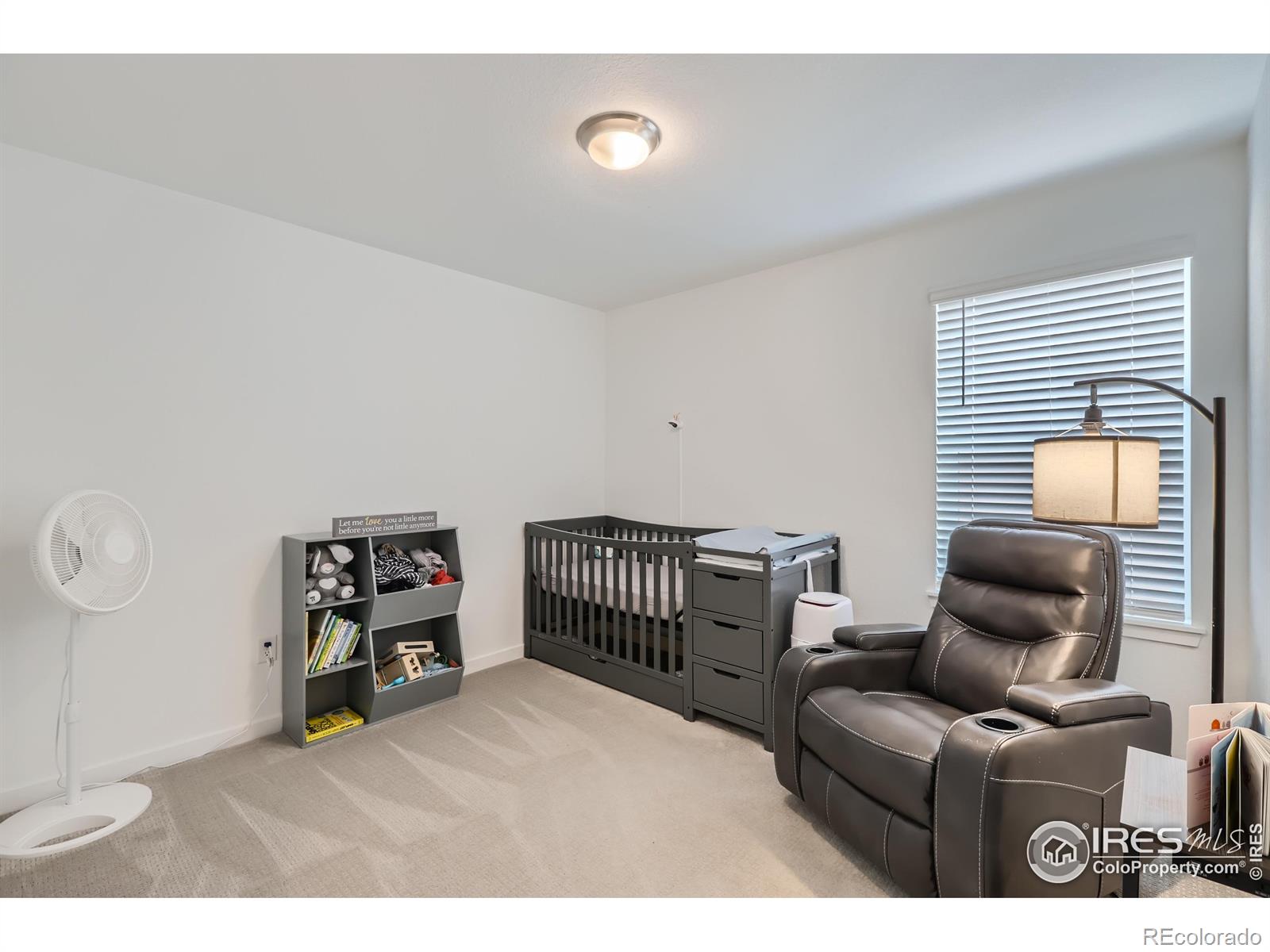 MLS Image #13 for 4039  wyatt falls drive,loveland, Colorado