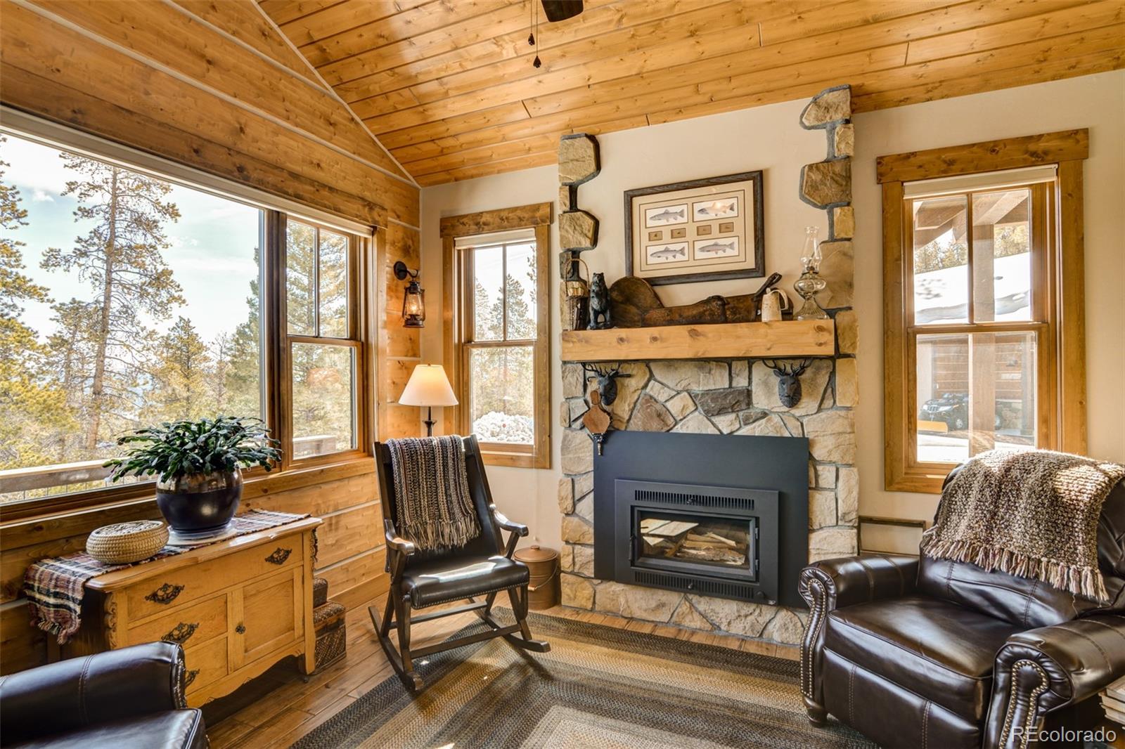 MLS Image #15 for 30363  national forest drive,buena vista, Colorado