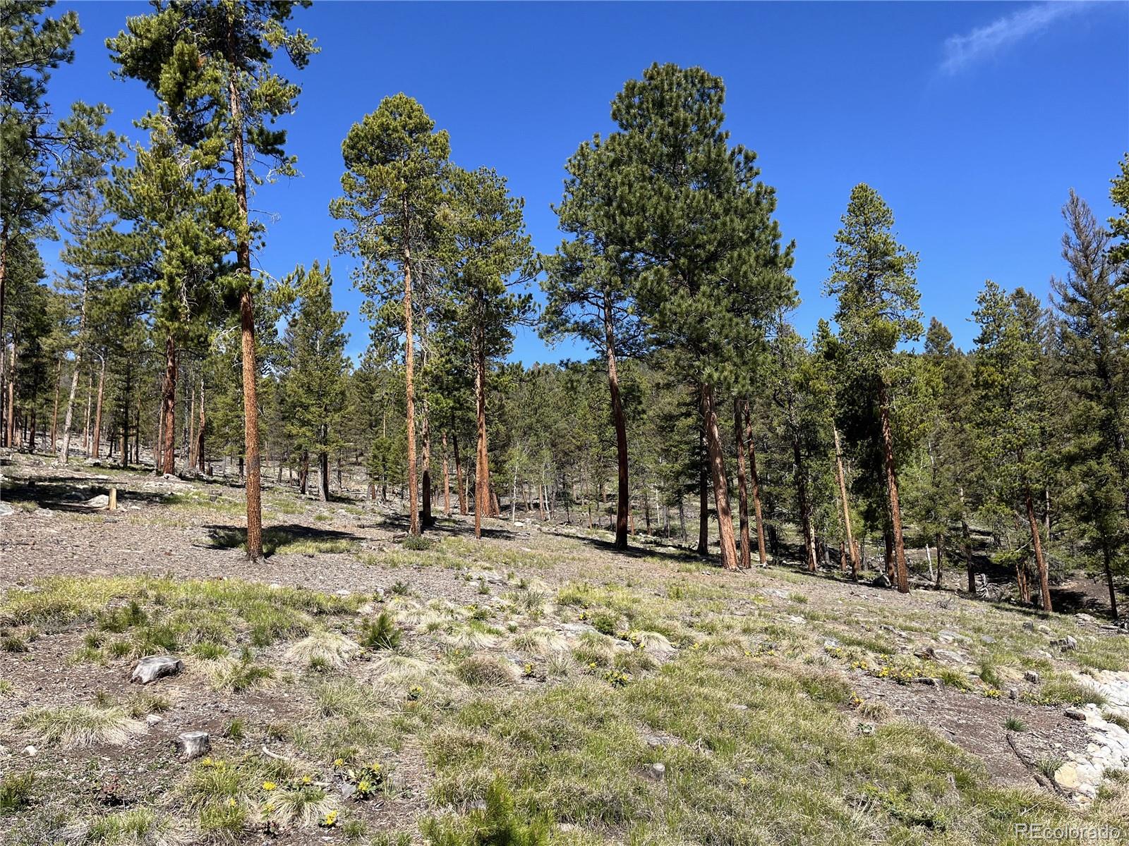 MLS Image #9 for 30363  national forest drive,buena vista, Colorado