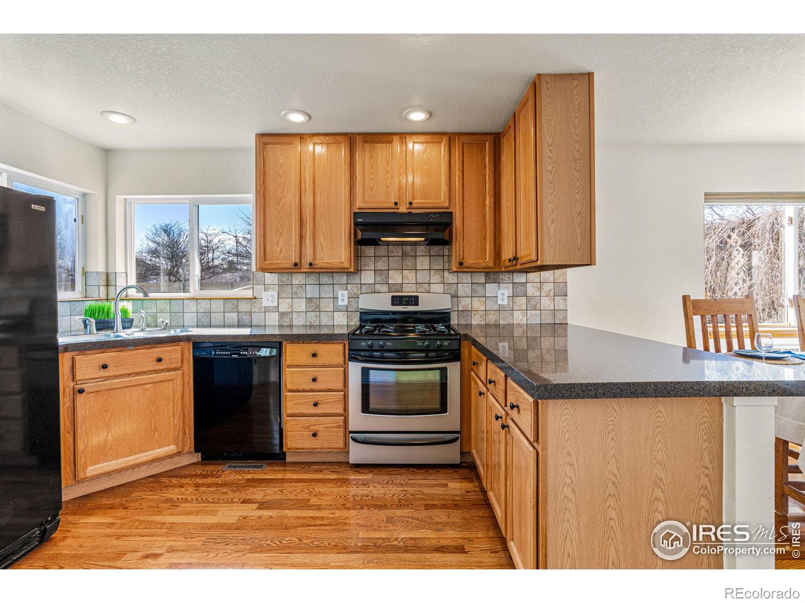 MLS Image #10 for 1005  alder way,longmont, Colorado