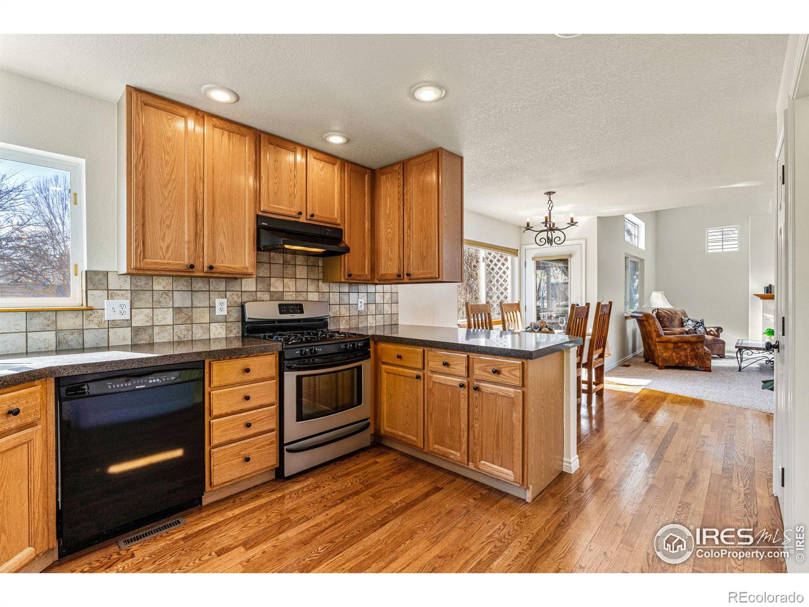 MLS Image #11 for 1005  alder way,longmont, Colorado