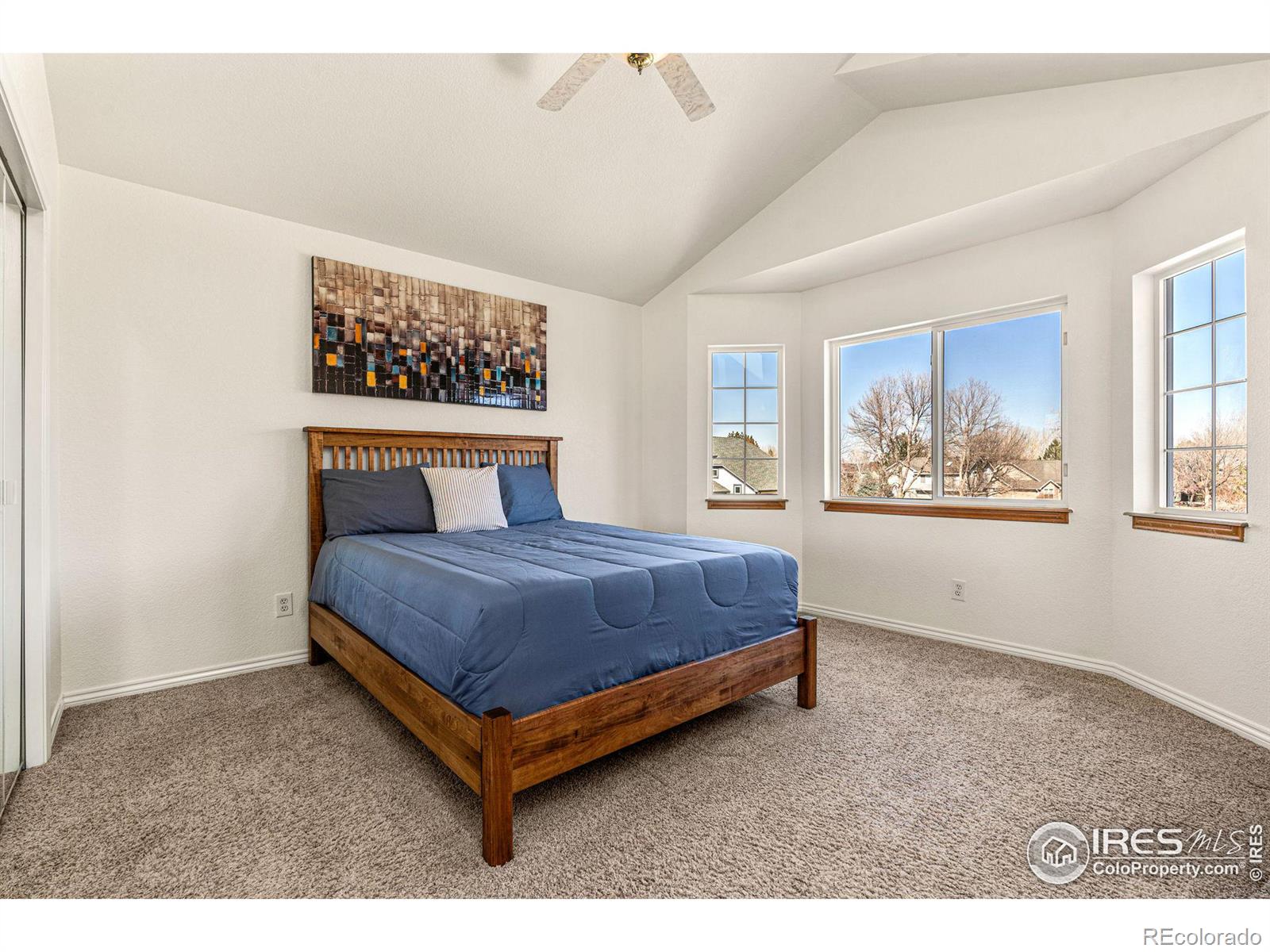 MLS Image #14 for 1005  alder way,longmont, Colorado