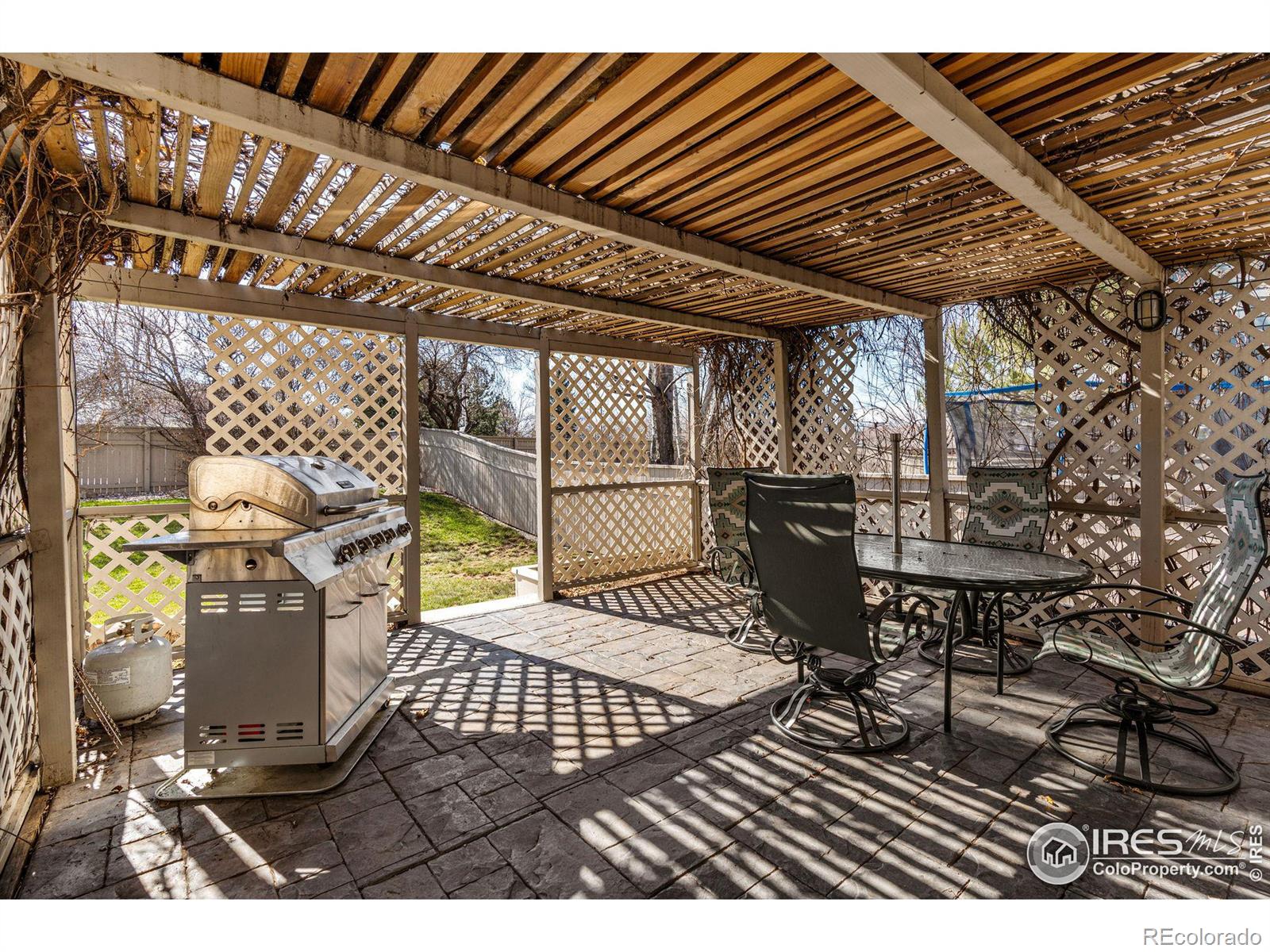 MLS Image #29 for 1005  alder way,longmont, Colorado