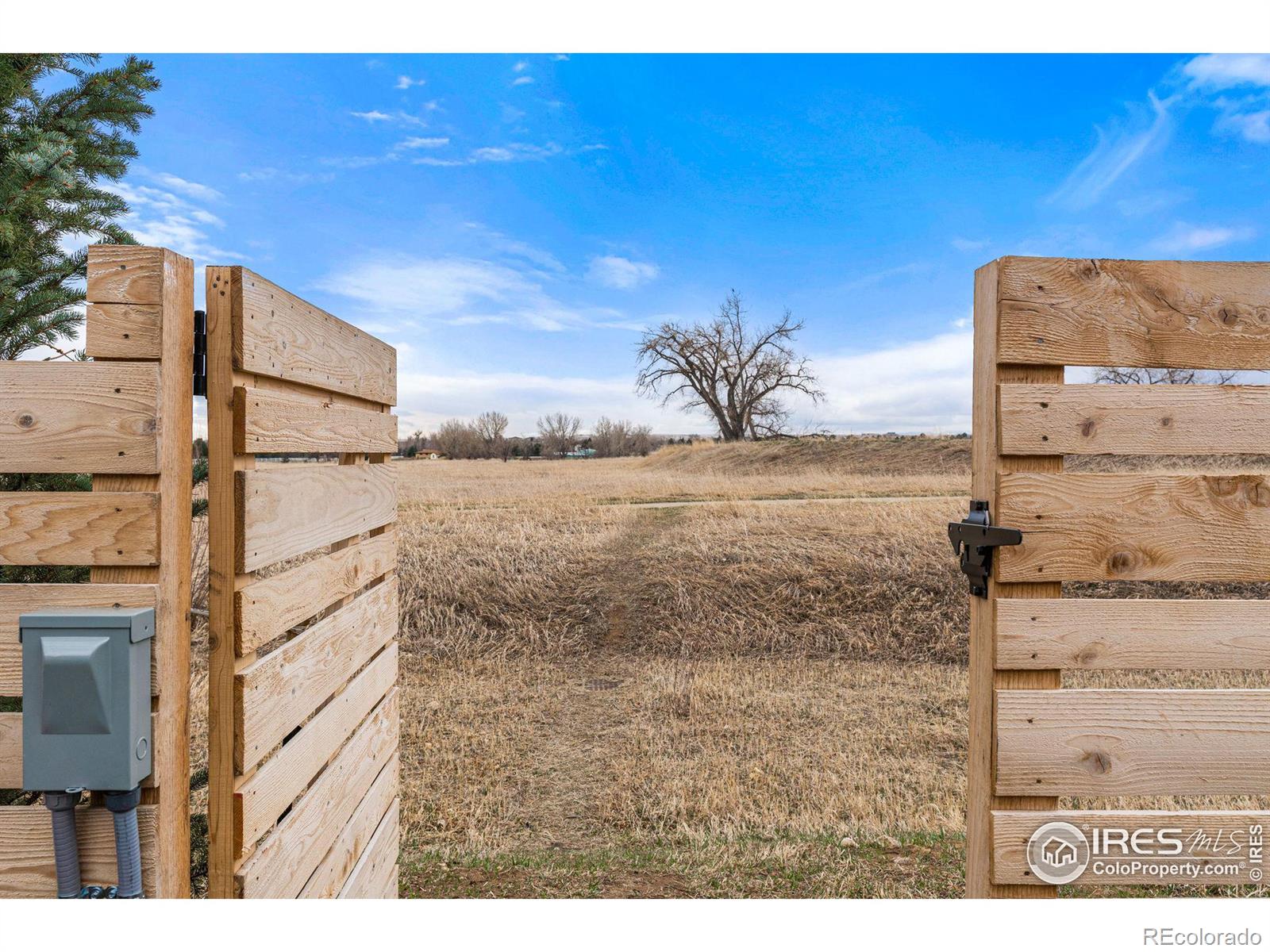 MLS Image #30 for 262 w sycamore lane,louisville, Colorado