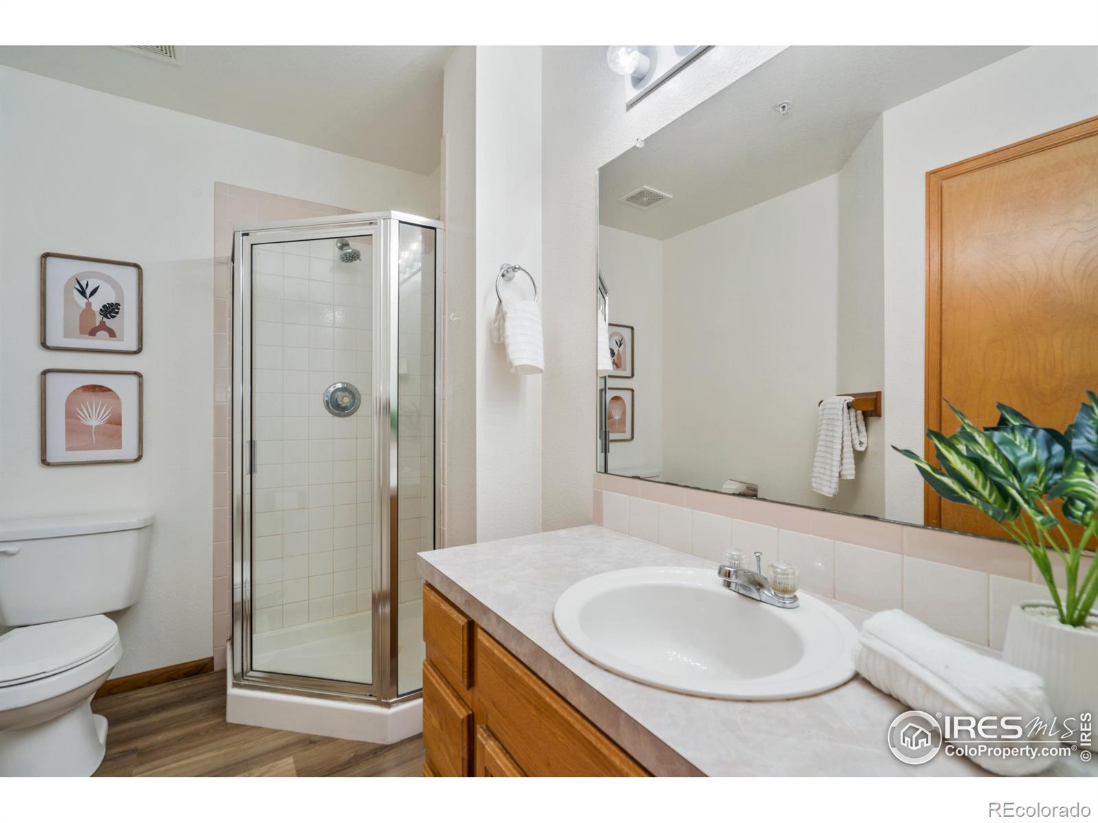 MLS Image #17 for 316  dean court,loveland, Colorado