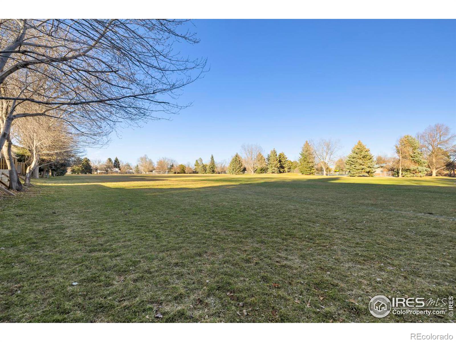 MLS Image #24 for 316  dean court,loveland, Colorado