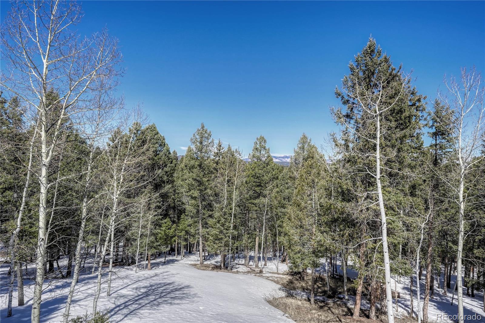 MLS Image #36 for 1307  county road 512 ,divide, Colorado