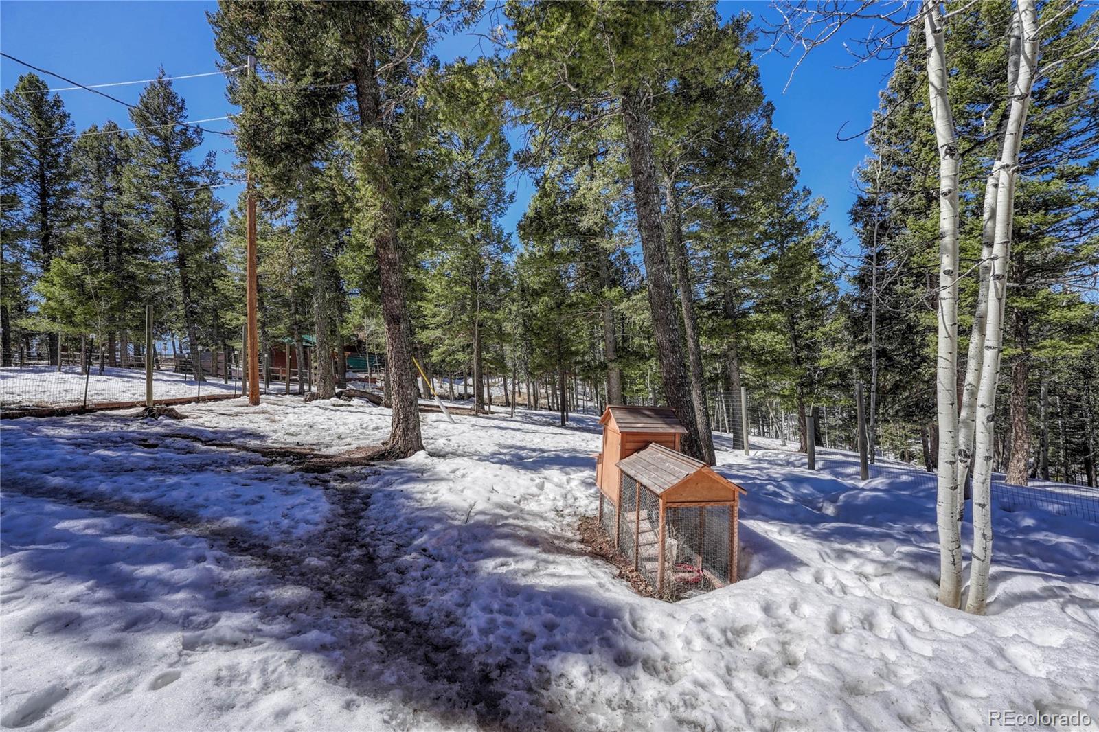 MLS Image #39 for 1307  county road 512 ,divide, Colorado