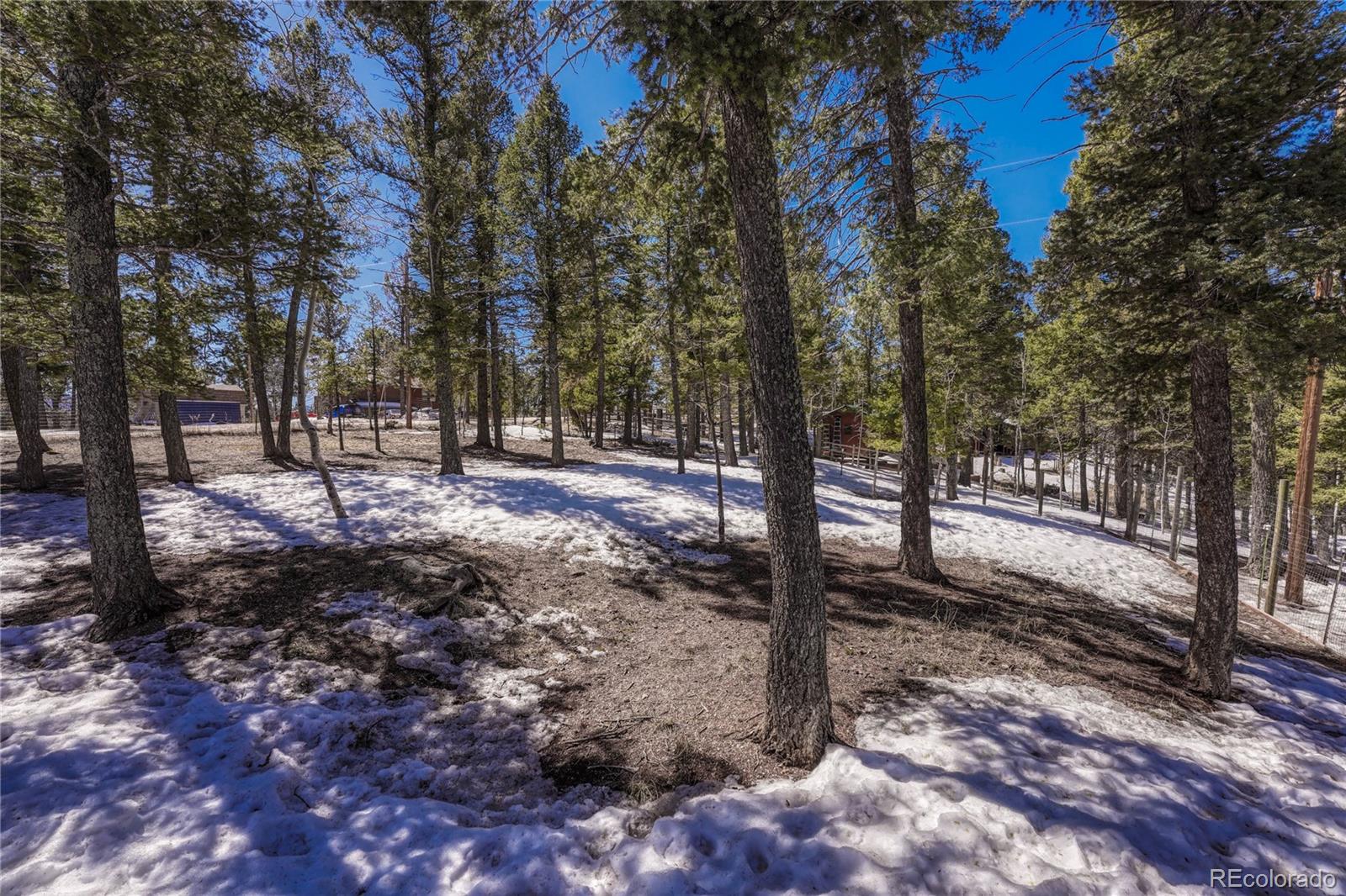 MLS Image #42 for 1307  county road 512 ,divide, Colorado