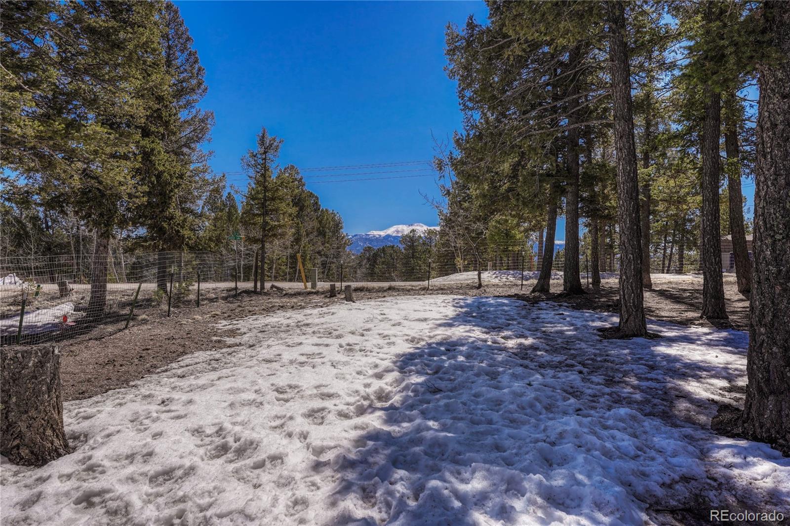 MLS Image #43 for 1307  county road 512 ,divide, Colorado