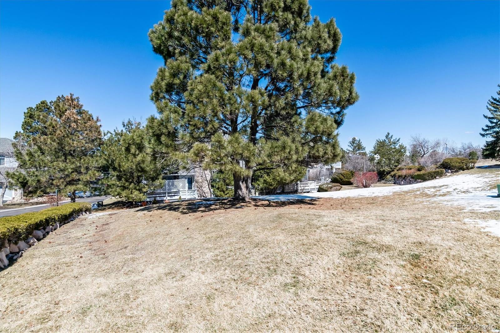 MLS Image #2 for 2277  emerald drive,castle rock, Colorado