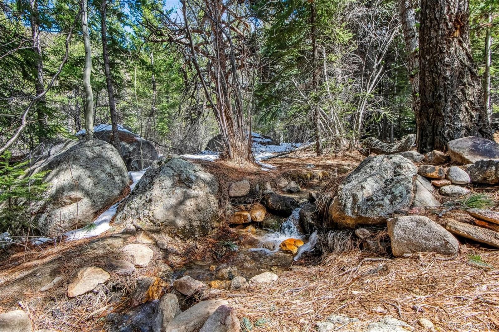 MLS Image #31 for 4  silver lakes drive,dumont, Colorado