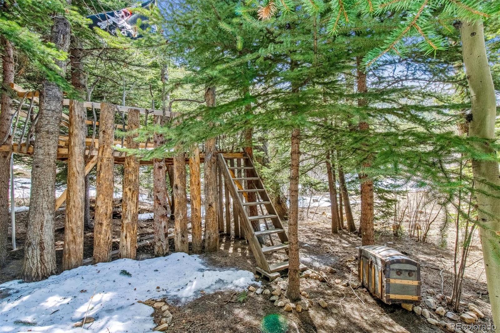 MLS Image #37 for 4  silver lakes drive,dumont, Colorado