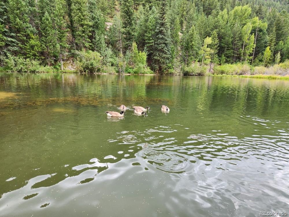 MLS Image #41 for 4  silver lakes drive,dumont, Colorado