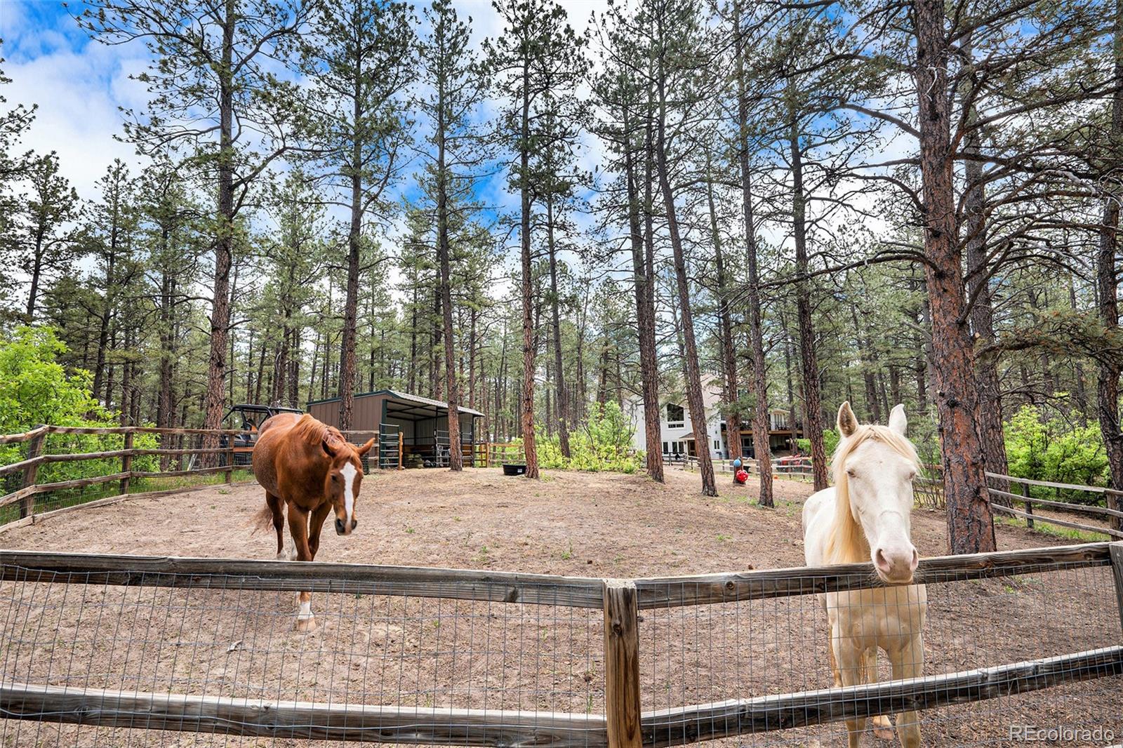 MLS Image #43 for 369  doe circle,franktown, Colorado