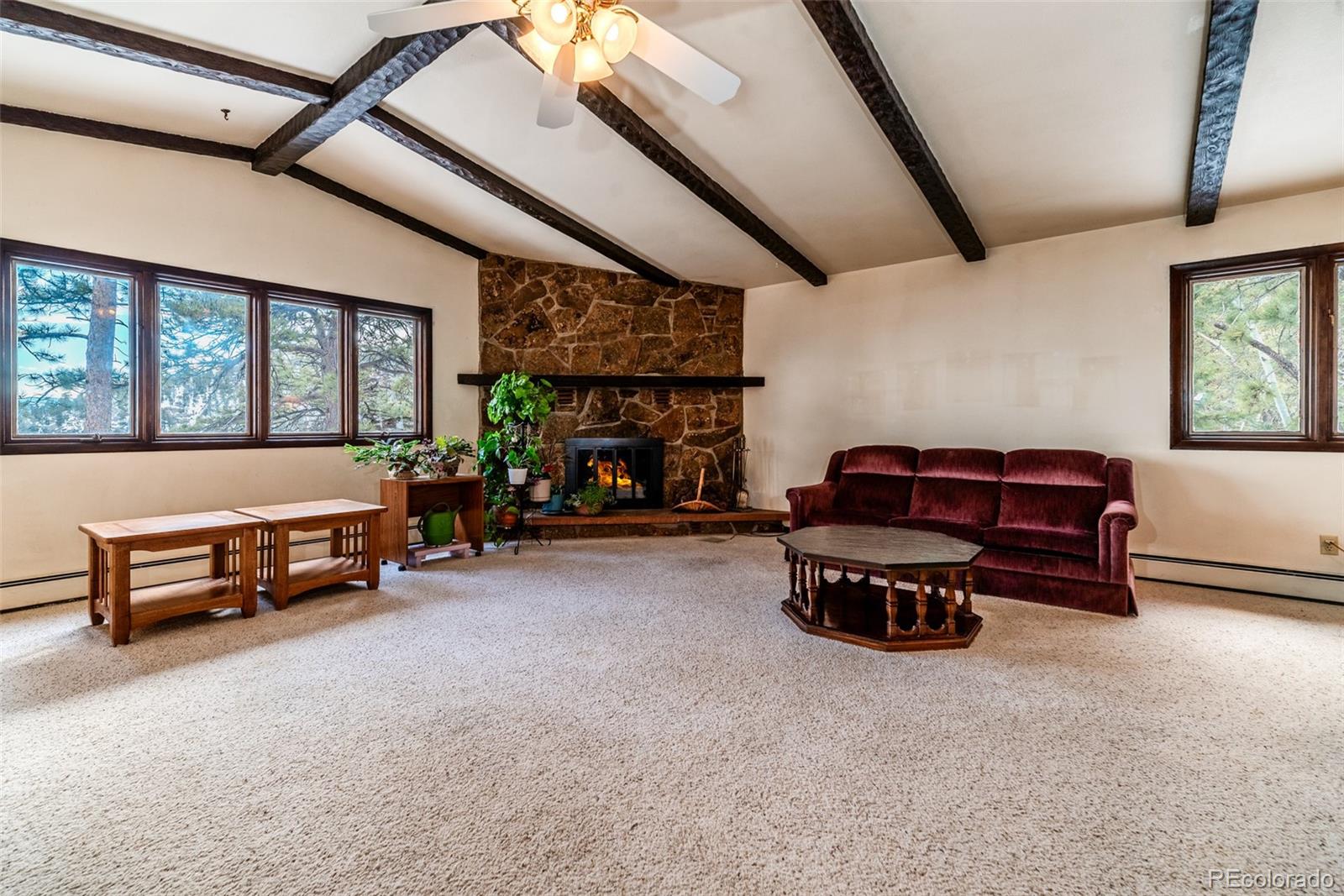MLS Image #12 for 31218  kings valley,conifer, Colorado