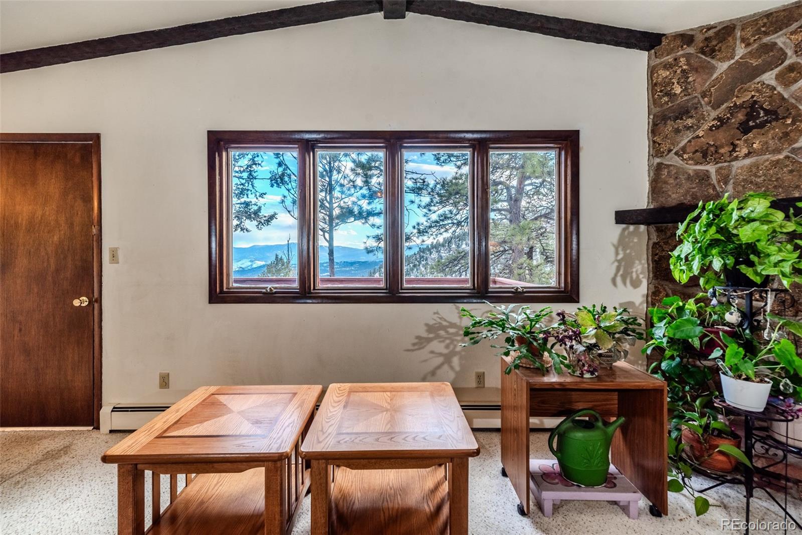 MLS Image #16 for 31218  kings valley,conifer, Colorado