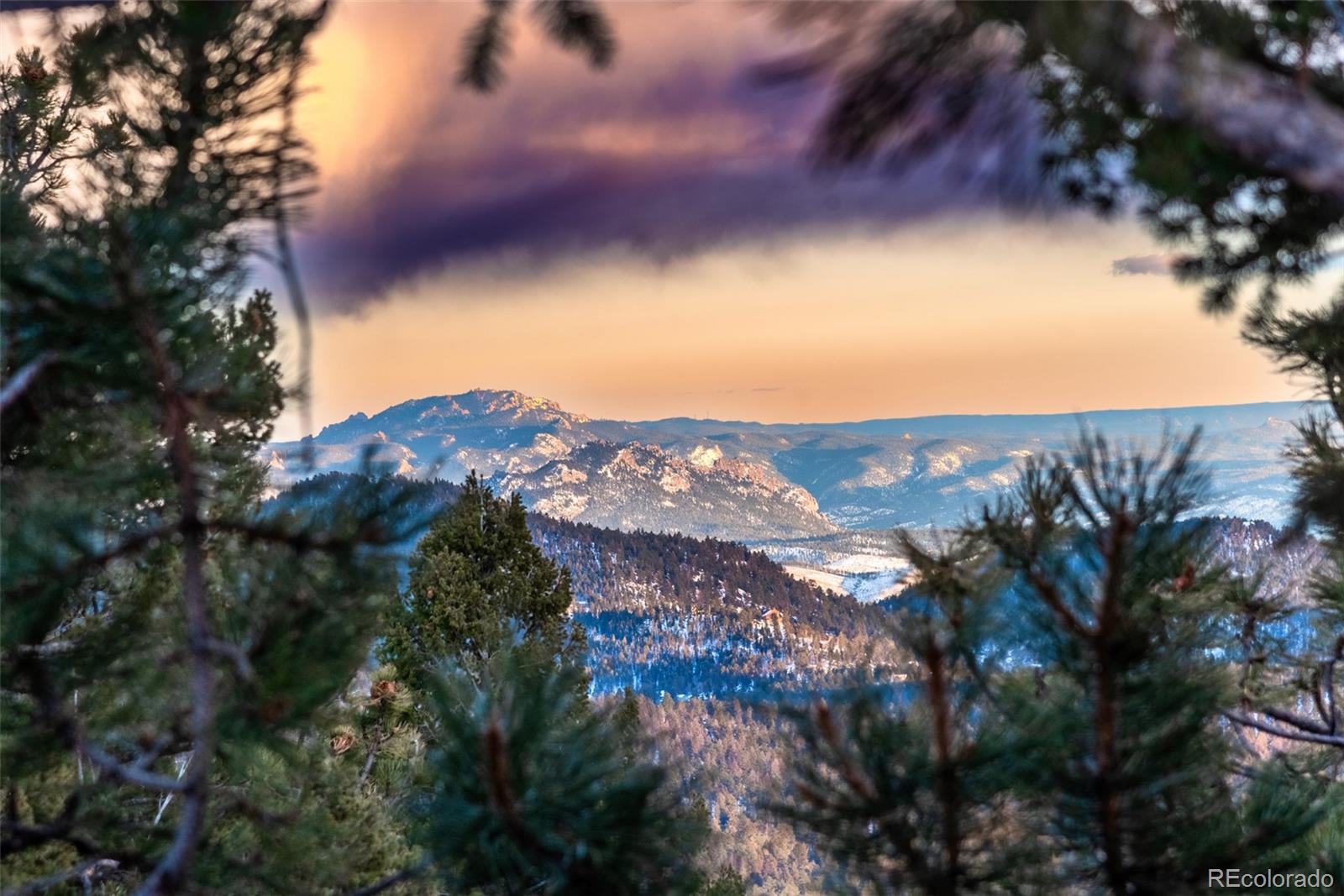 MLS Image #6 for 31218  kings valley,conifer, Colorado