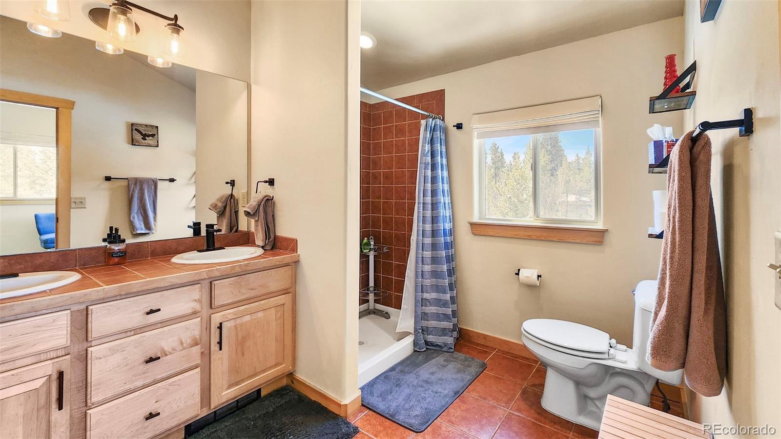 MLS Image #34 for 85  muhly court,fairplay, Colorado