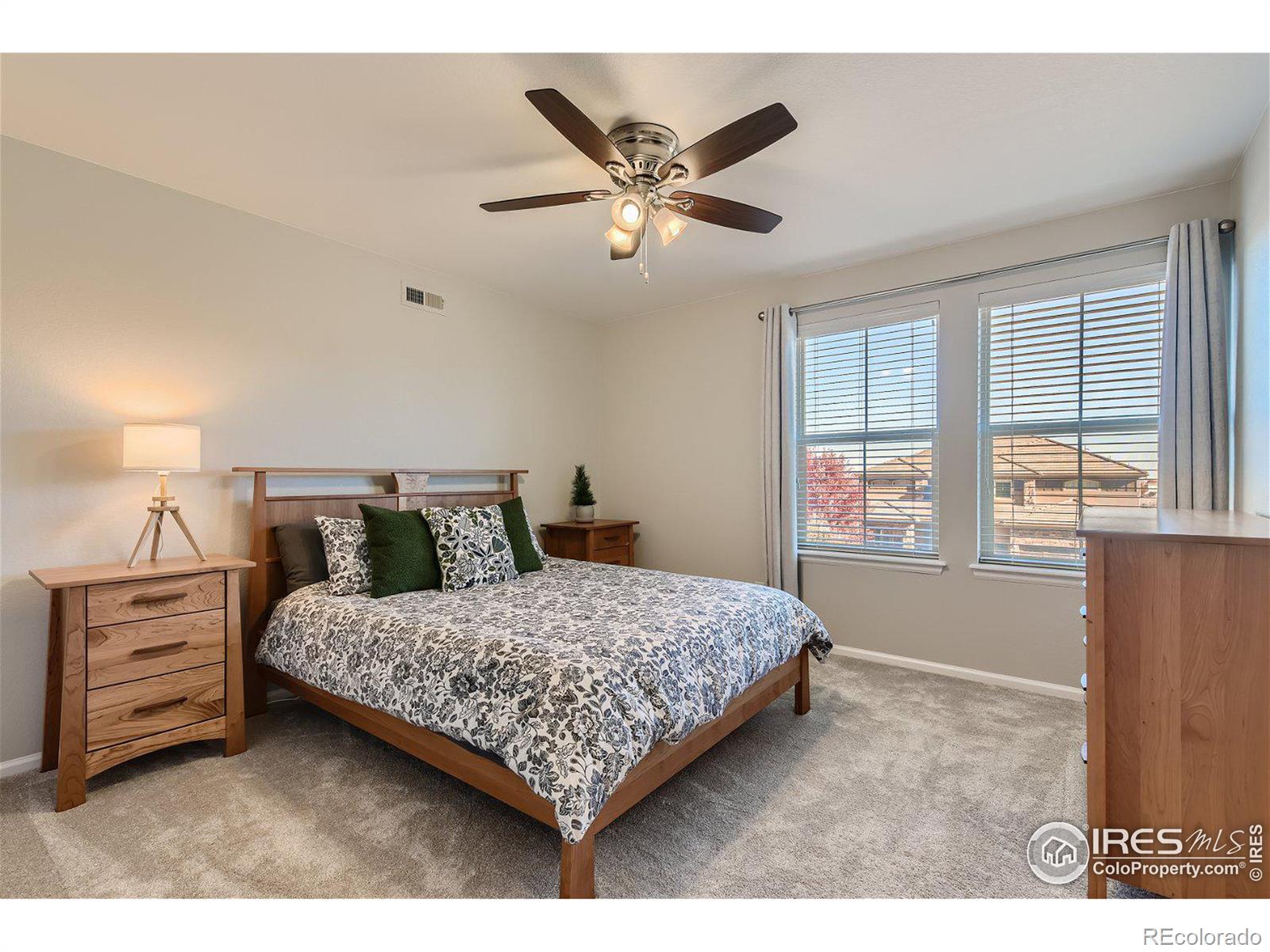 MLS Image #22 for 122  poppy view lane,erie, Colorado