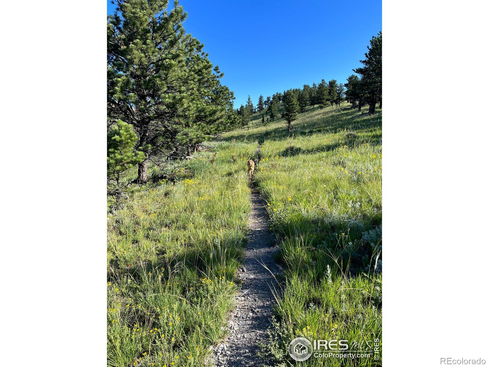 MLS Image #33 for 8323 w fork road,boulder, Colorado