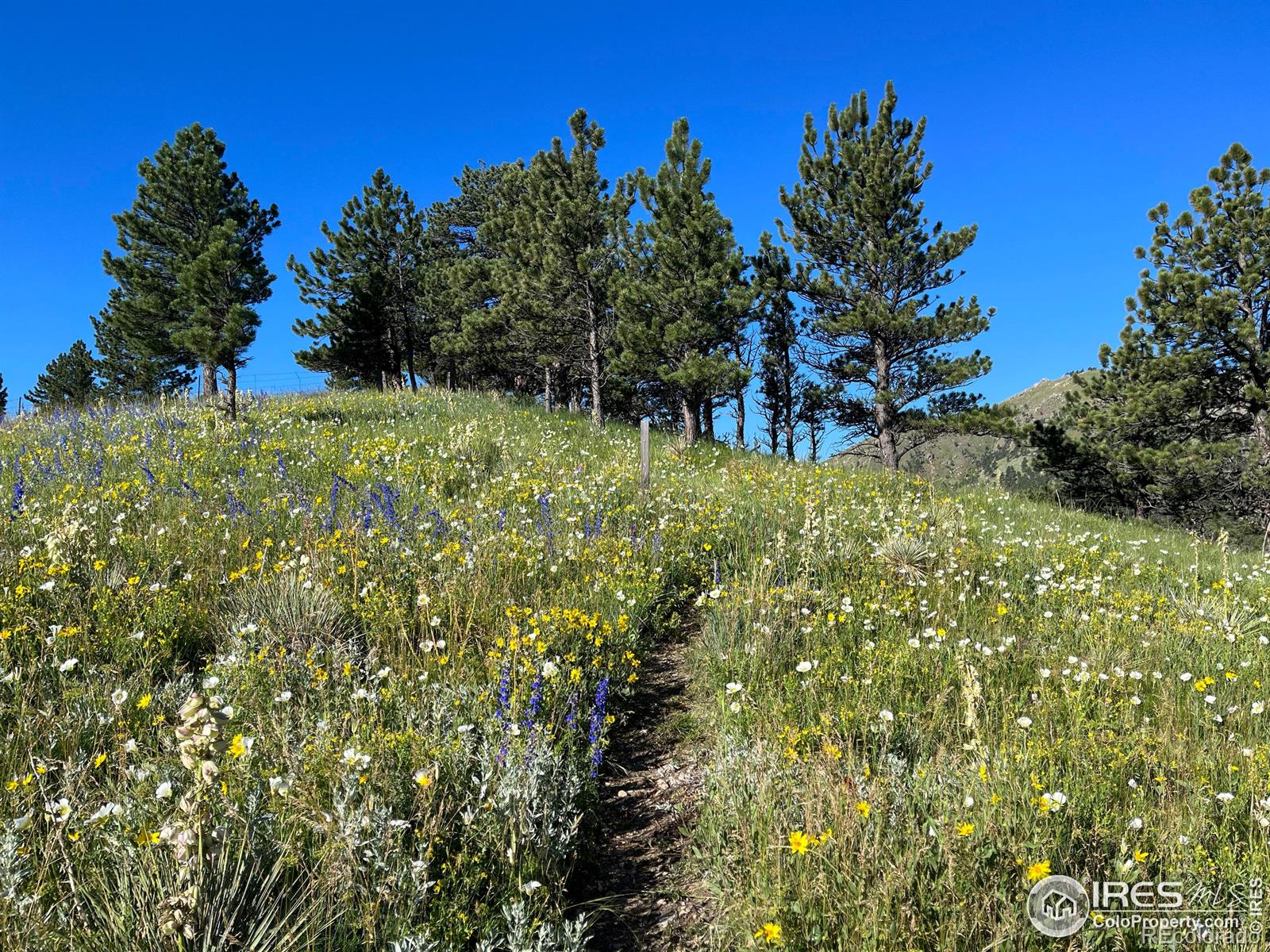 MLS Image #34 for 8323 w fork road,boulder, Colorado