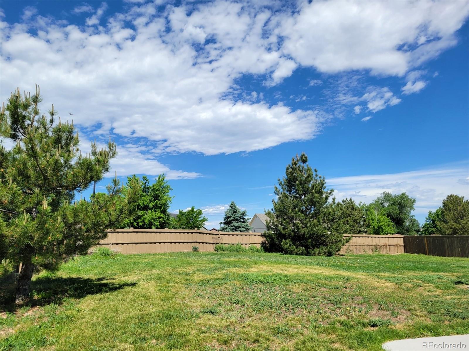 MLS Image #28 for 1183  kittery street,castle rock, Colorado