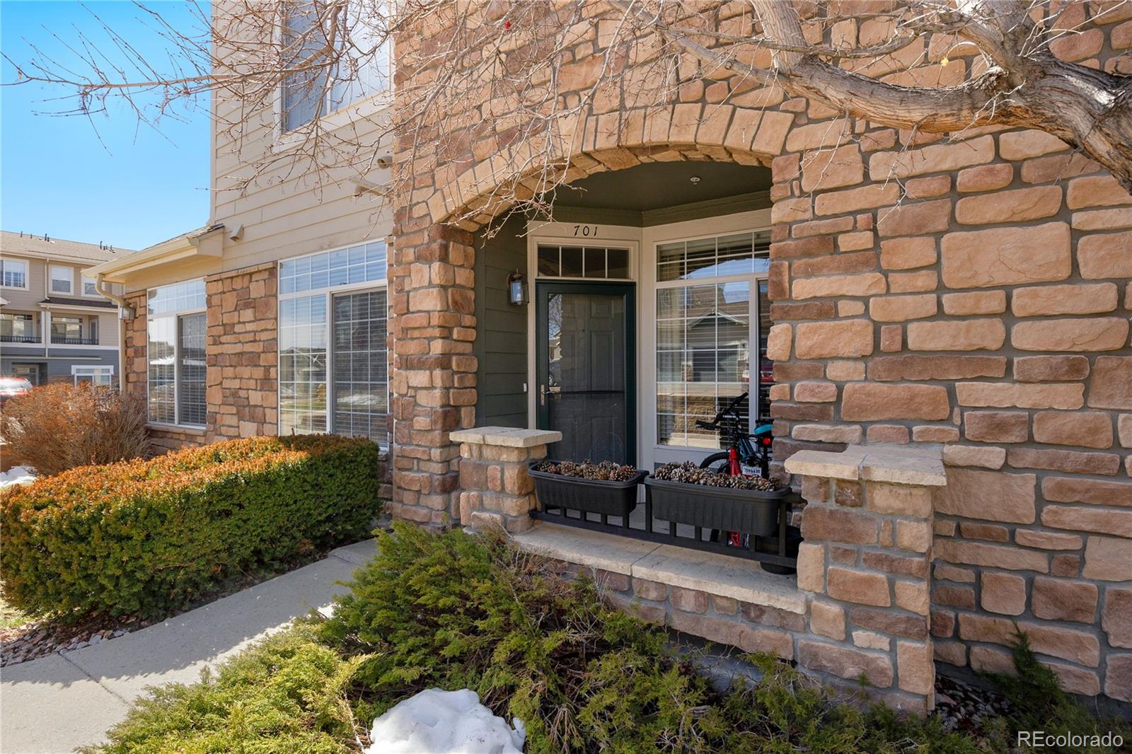 MLS Image #2 for 457  black feather loop,castle rock, Colorado