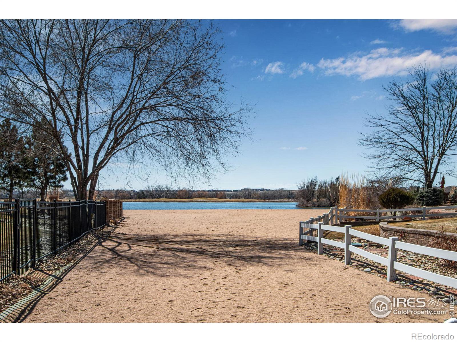 MLS Image #0 for 213  cobble drive,windsor, Colorado