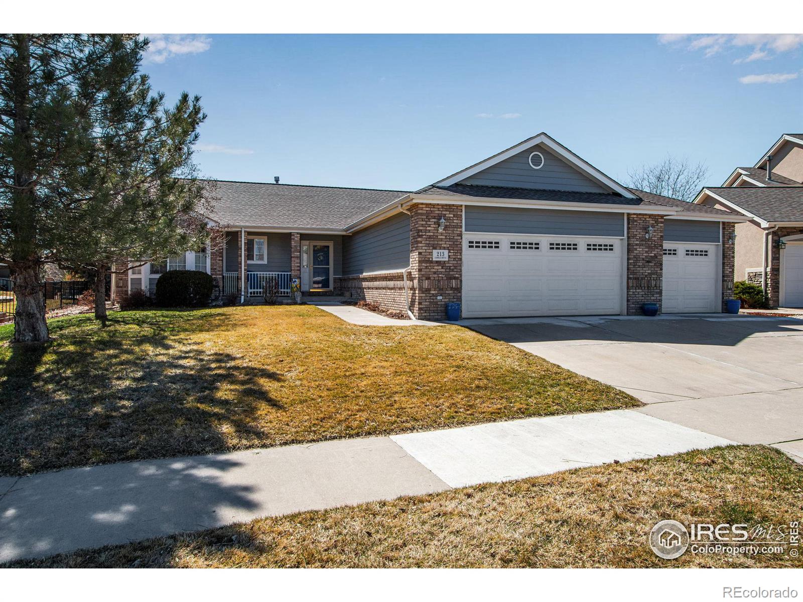 MLS Image #1 for 213  cobble drive,windsor, Colorado