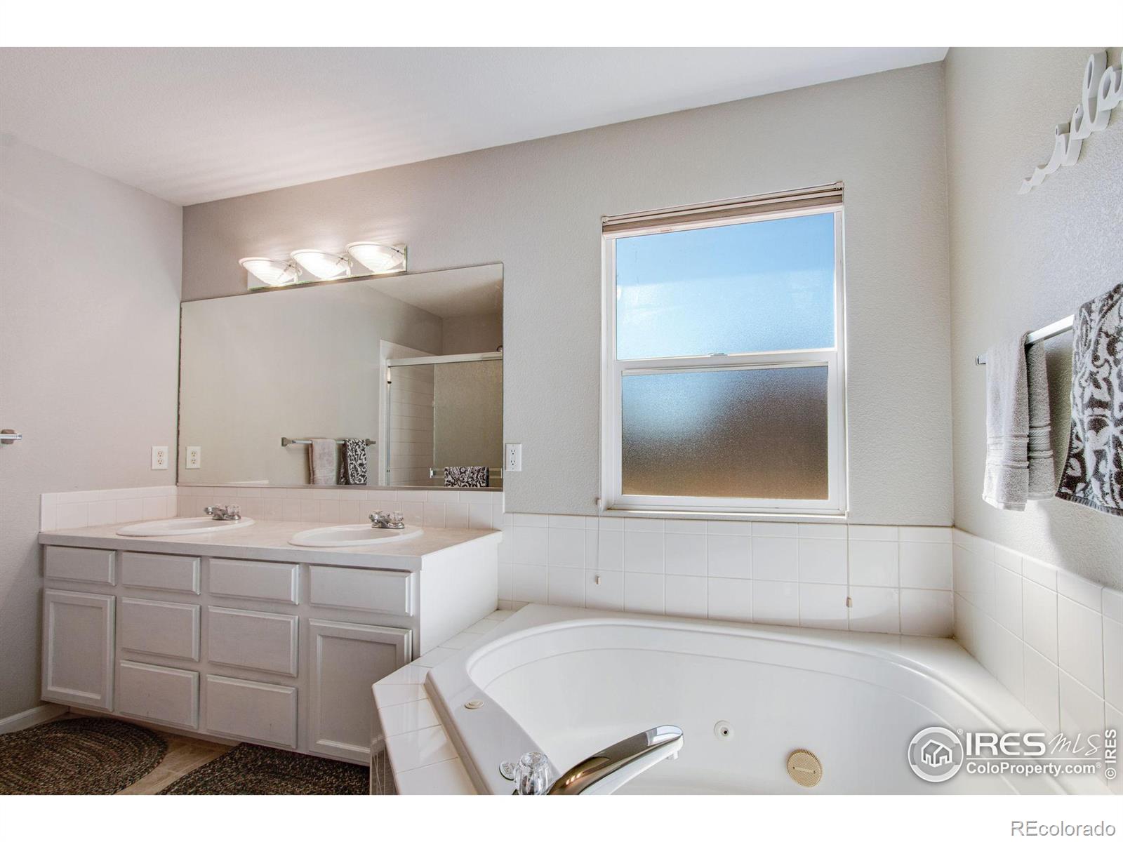 MLS Image #11 for 213  cobble drive,windsor, Colorado