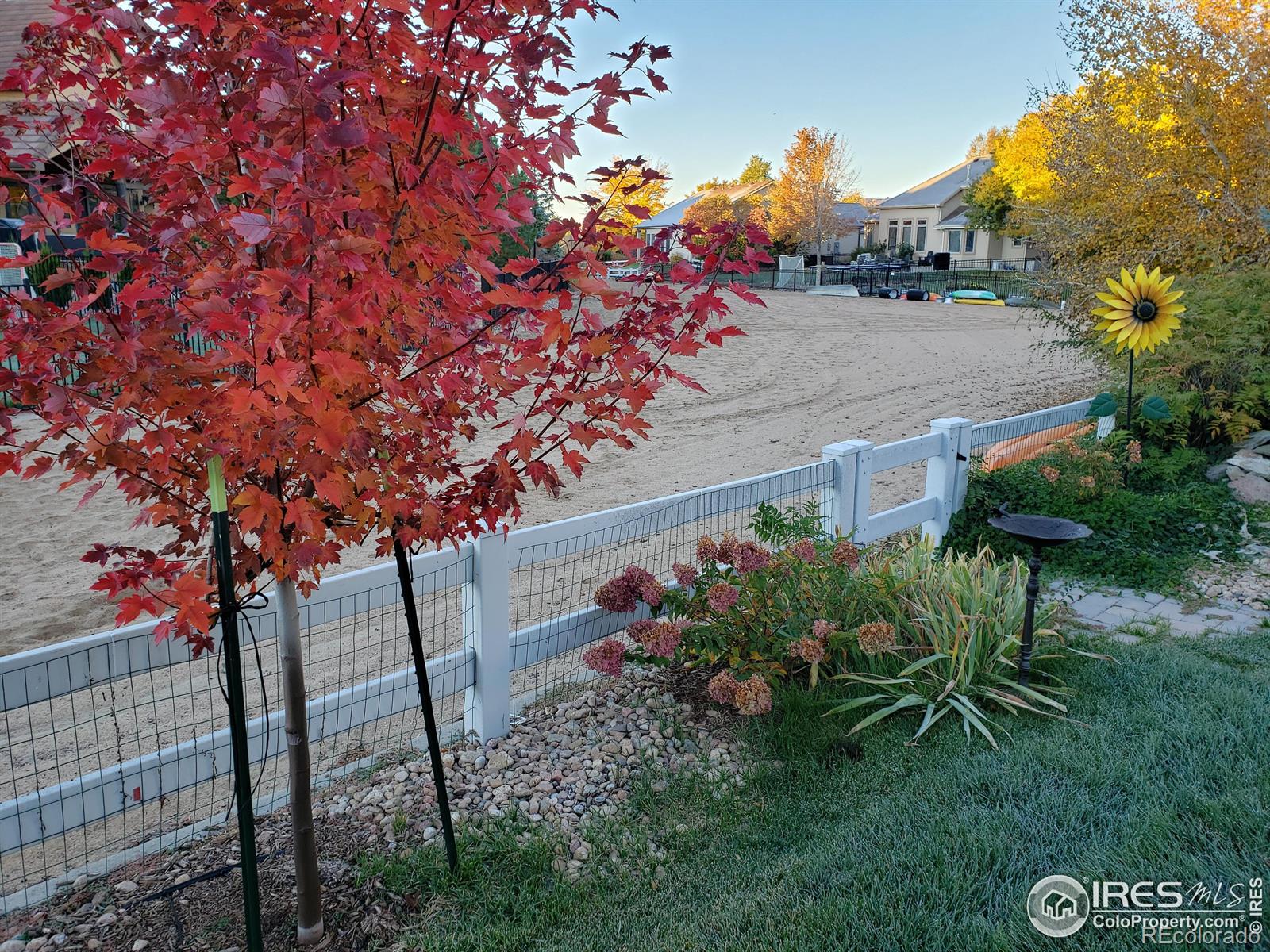 MLS Image #30 for 213  cobble drive,windsor, Colorado