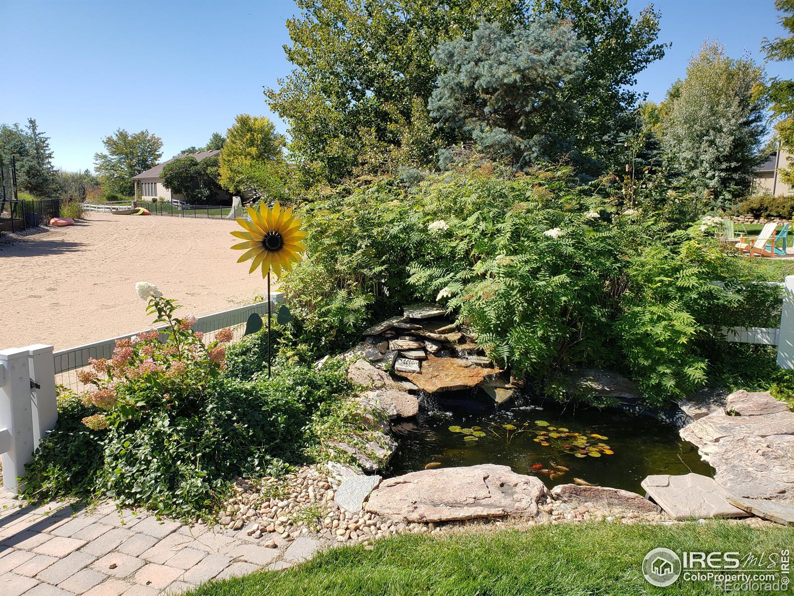 MLS Image #32 for 213  cobble drive,windsor, Colorado