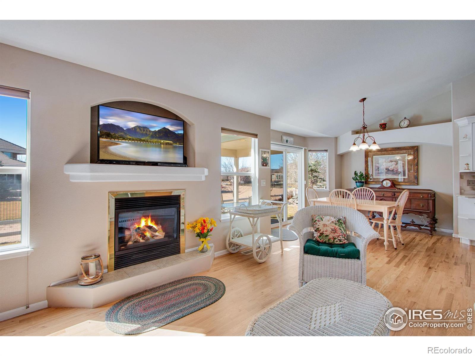 MLS Image #4 for 213  cobble drive,windsor, Colorado