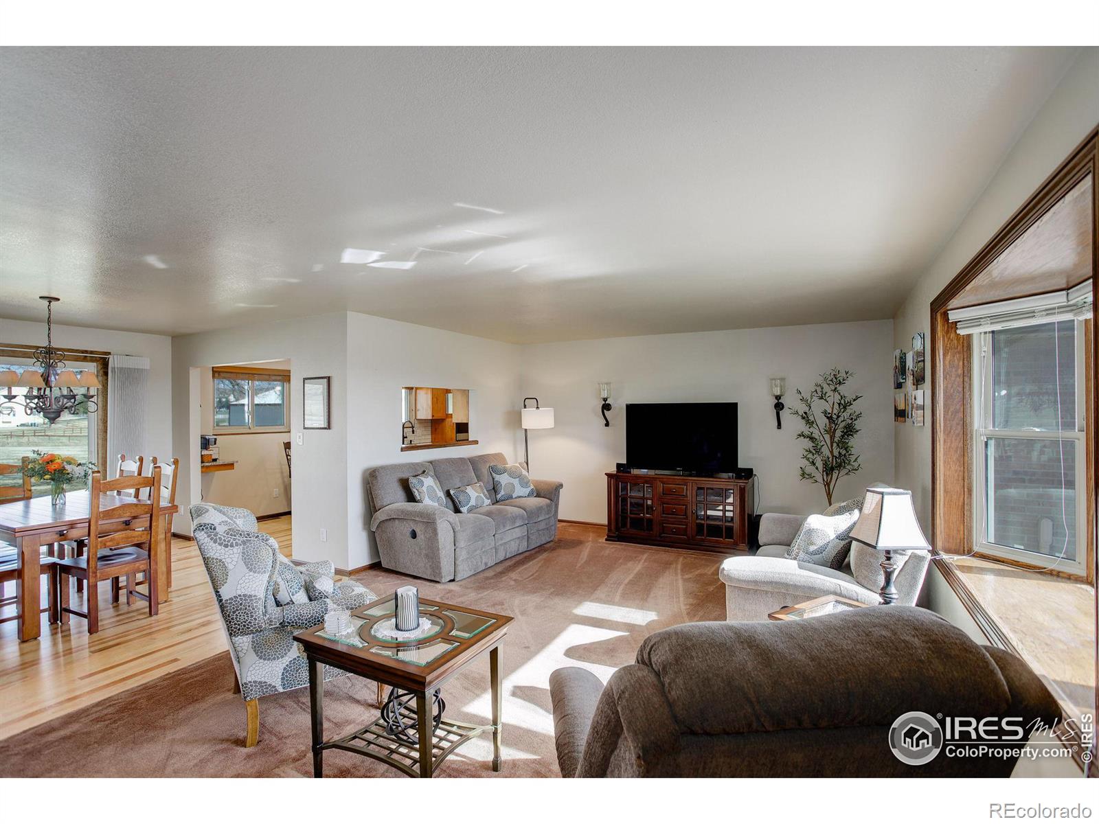 MLS Image #11 for 5316  glen drive,berthoud, Colorado