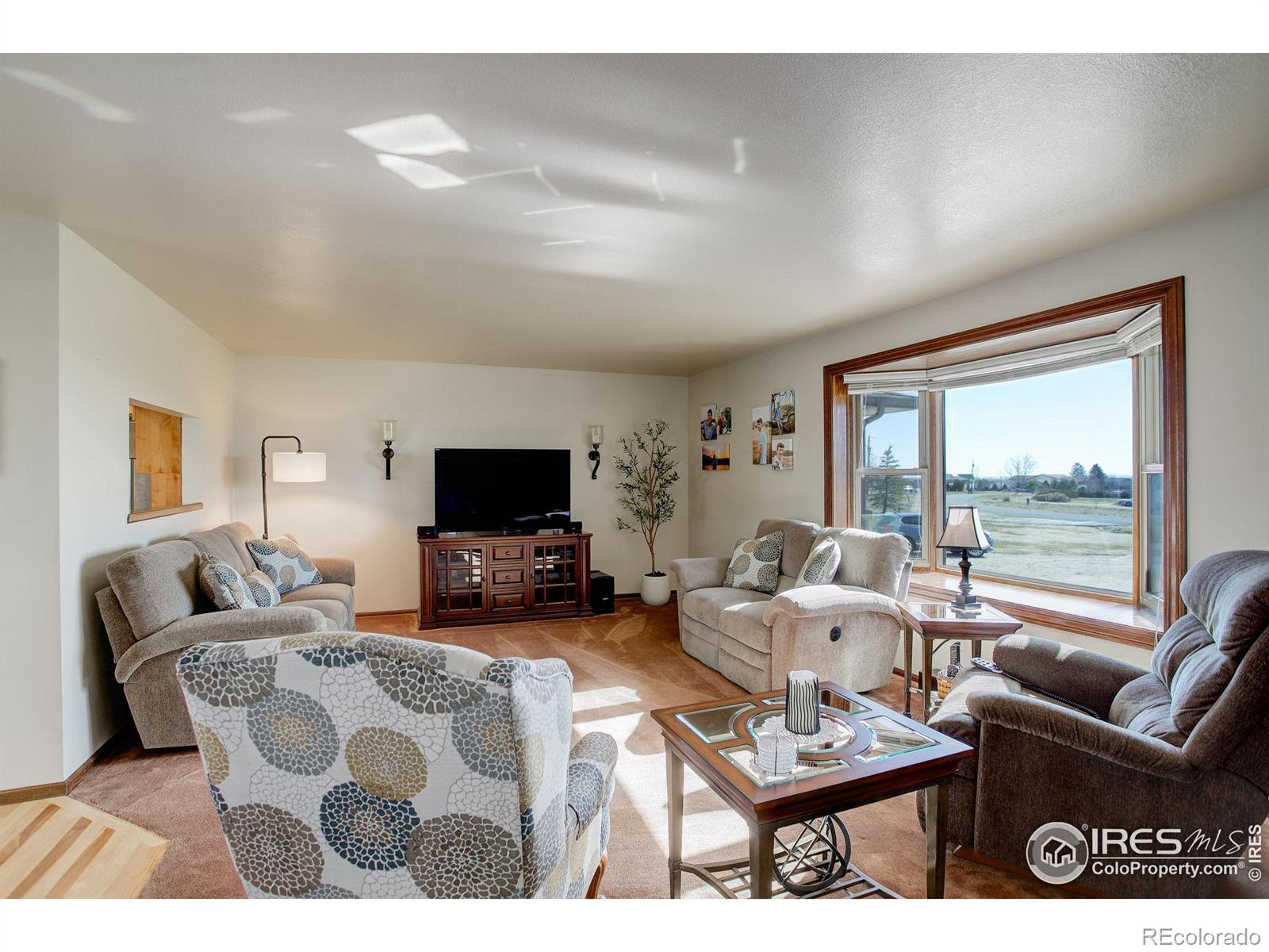 MLS Image #12 for 5316  glen drive,berthoud, Colorado