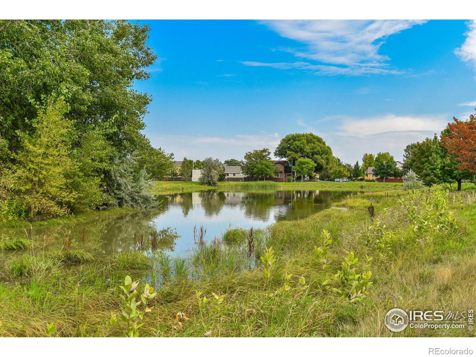 MLS Image #30 for 5126  mill stone way,fort collins, Colorado