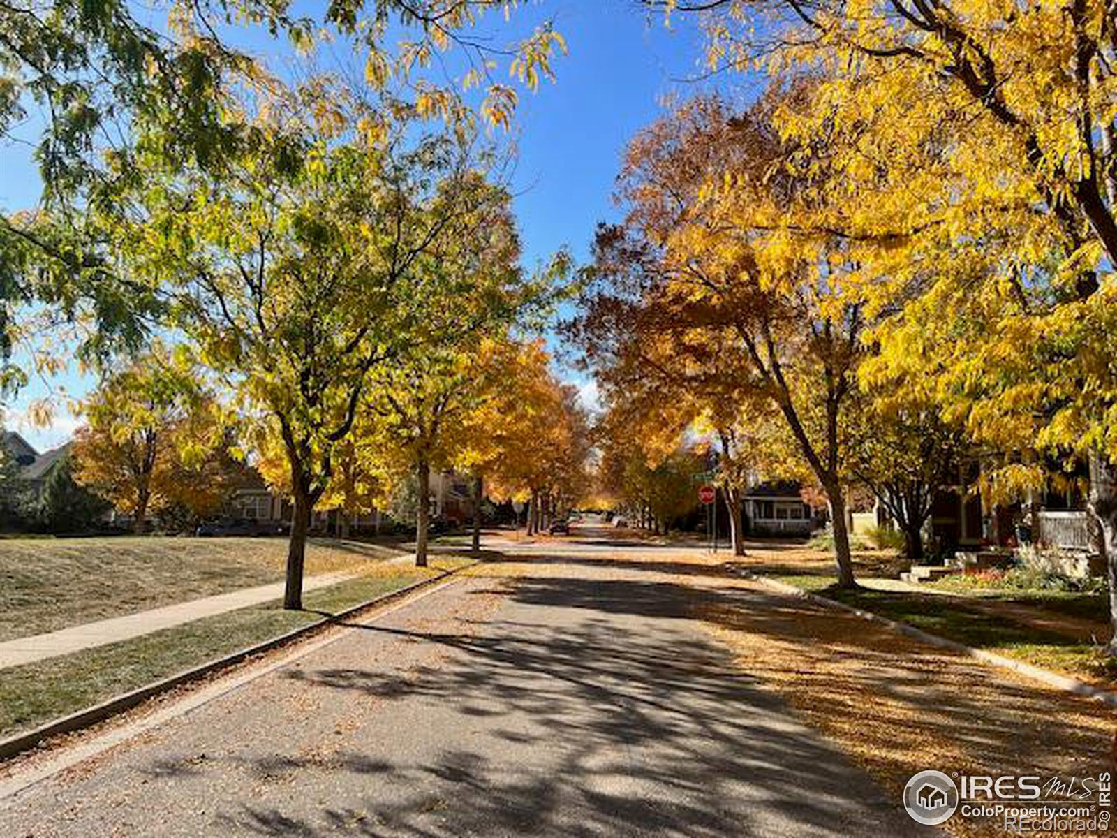 MLS Image #31 for 5126  mill stone way,fort collins, Colorado