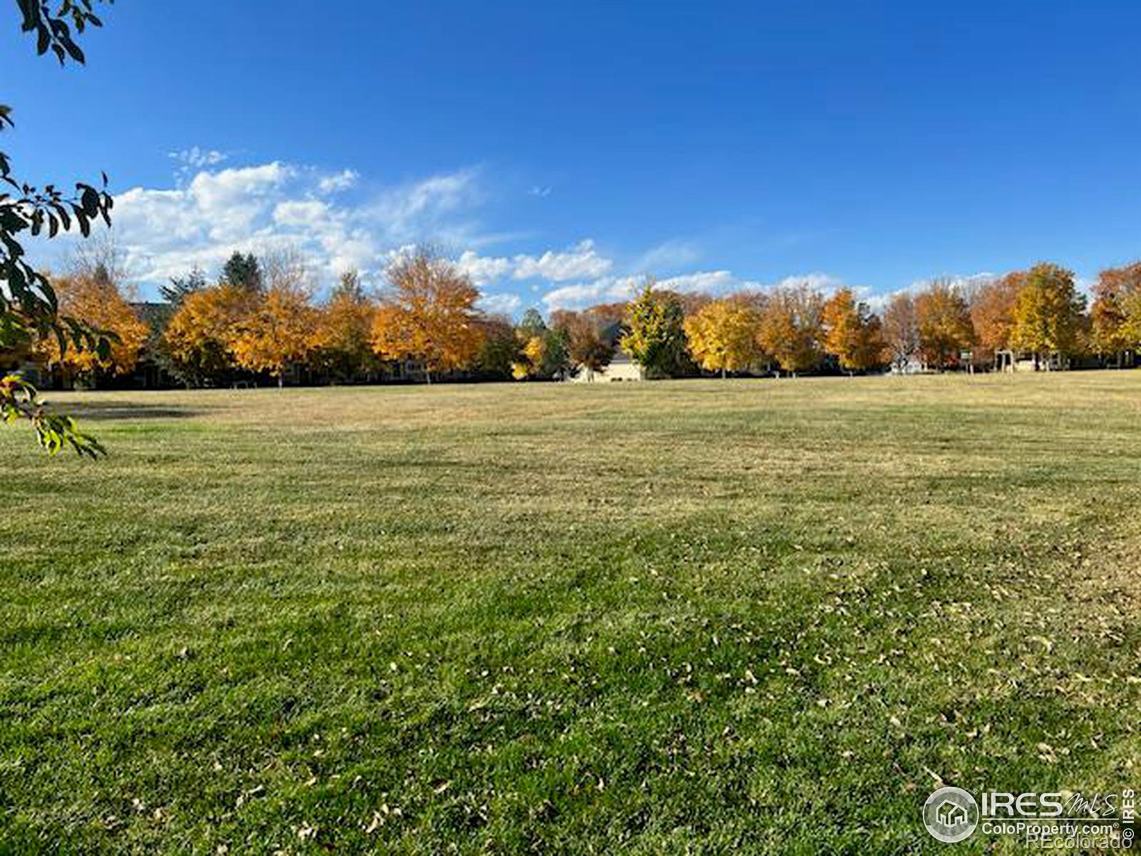 MLS Image #33 for 5126  mill stone way,fort collins, Colorado