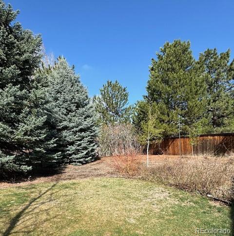 MLS Image #34 for 10535  jaguar point,littleton, Colorado