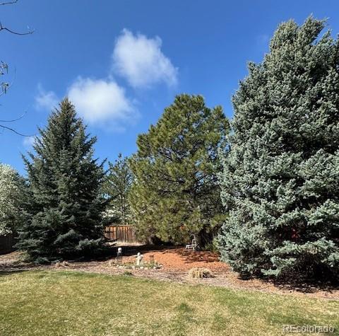 MLS Image #35 for 10535  jaguar point,littleton, Colorado