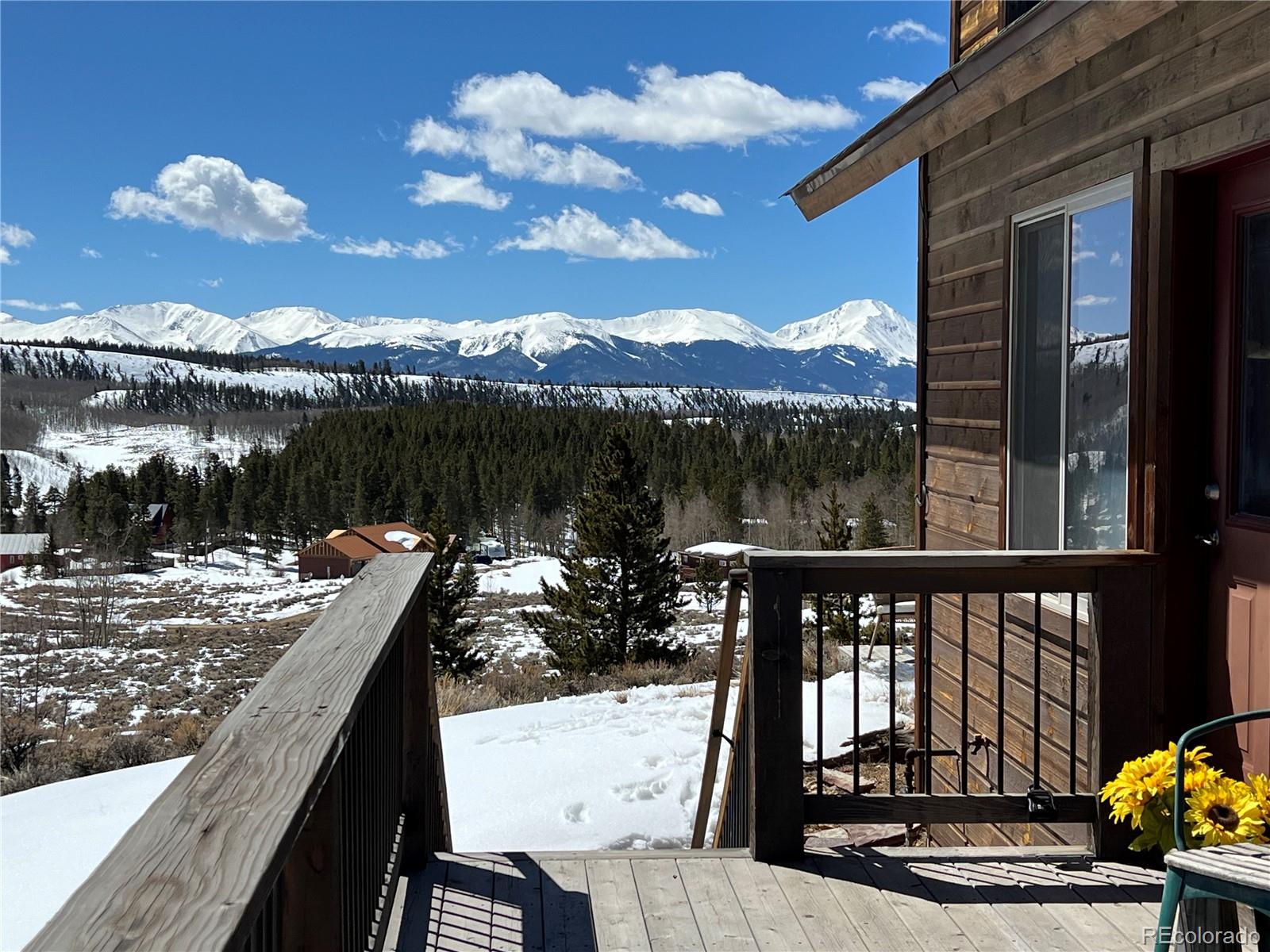 MLS Image #3 for 106  cougar road,leadville, Colorado