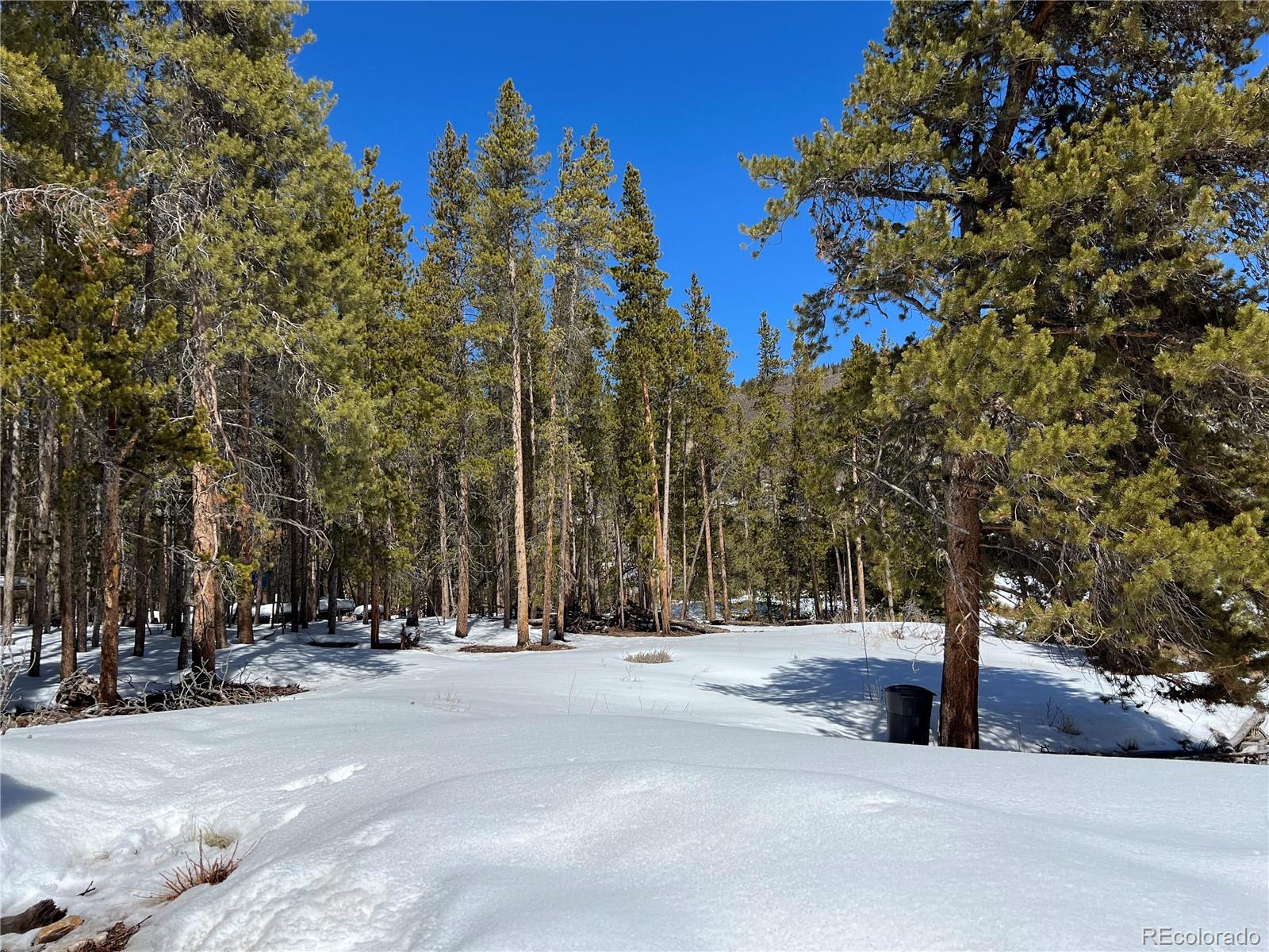 MLS Image #44 for 106  cougar road,leadville, Colorado