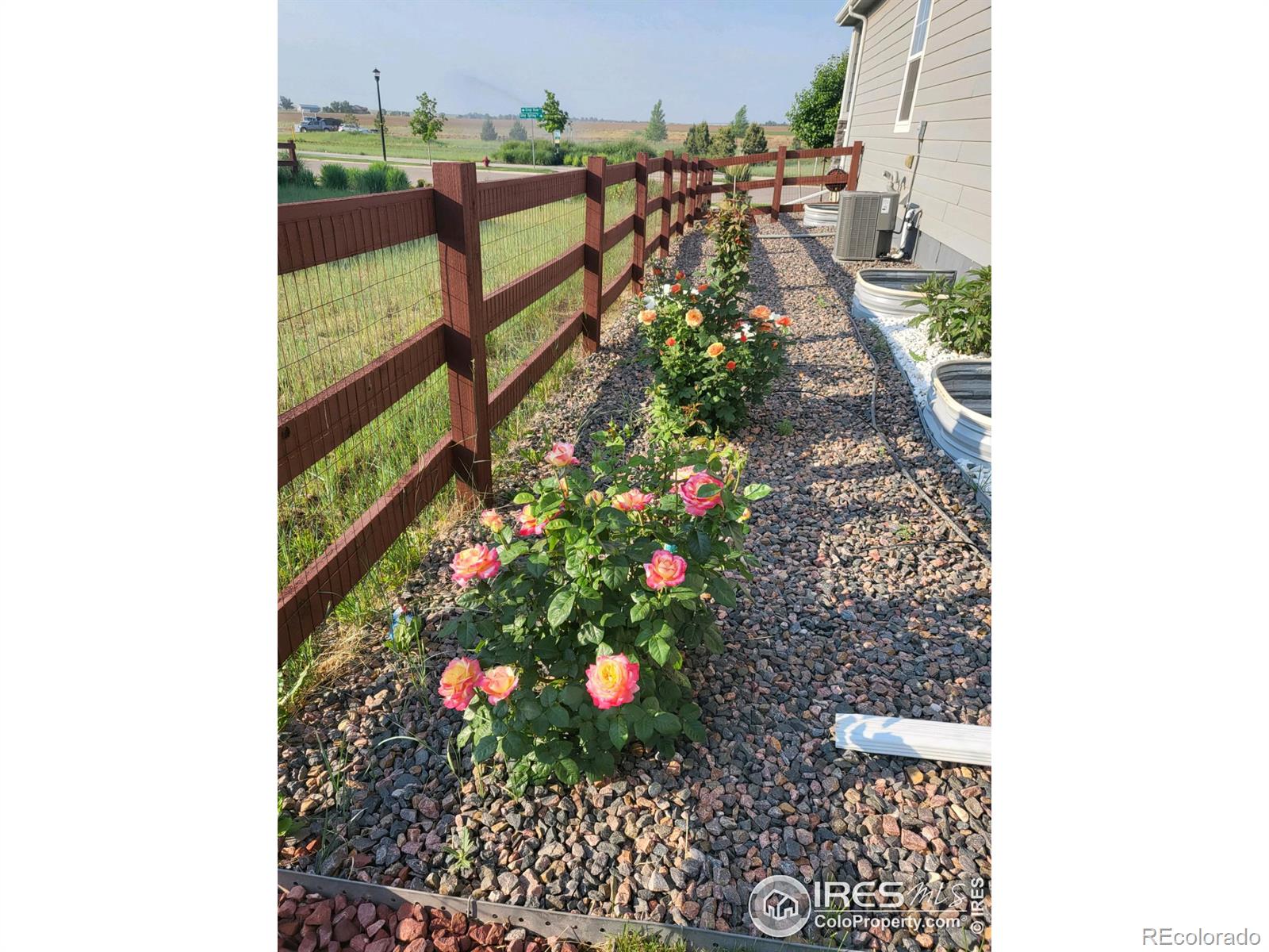 MLS Image #36 for 2179  day spring drive,windsor, Colorado