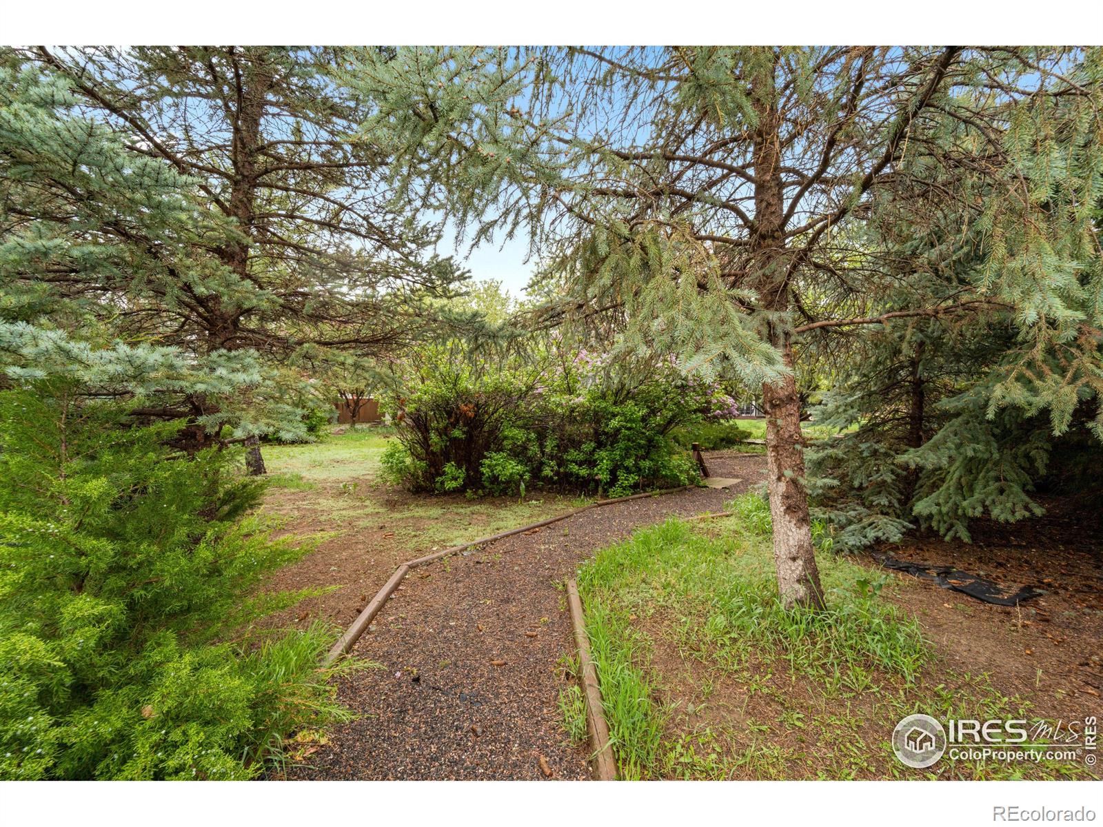 MLS Image #34 for 605  valley view road,loveland, Colorado