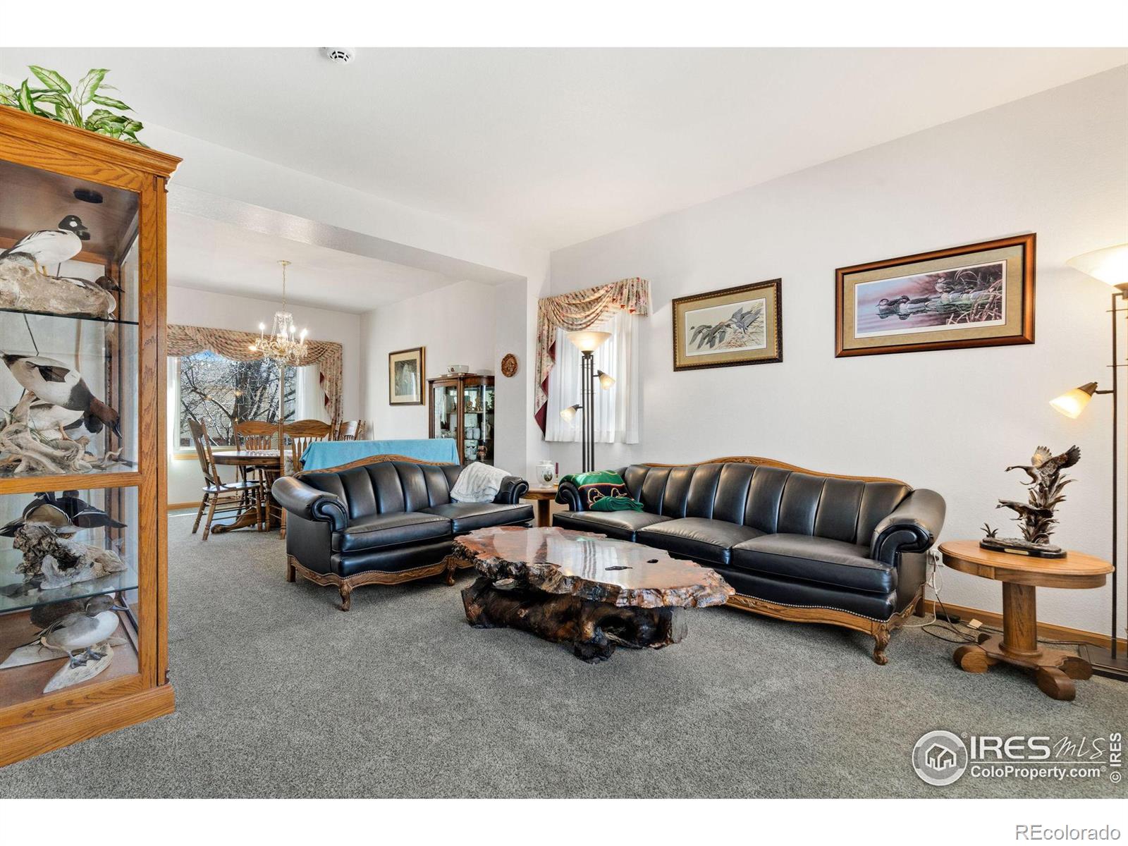 MLS Image #4 for 2420  willow lane,longmont, Colorado